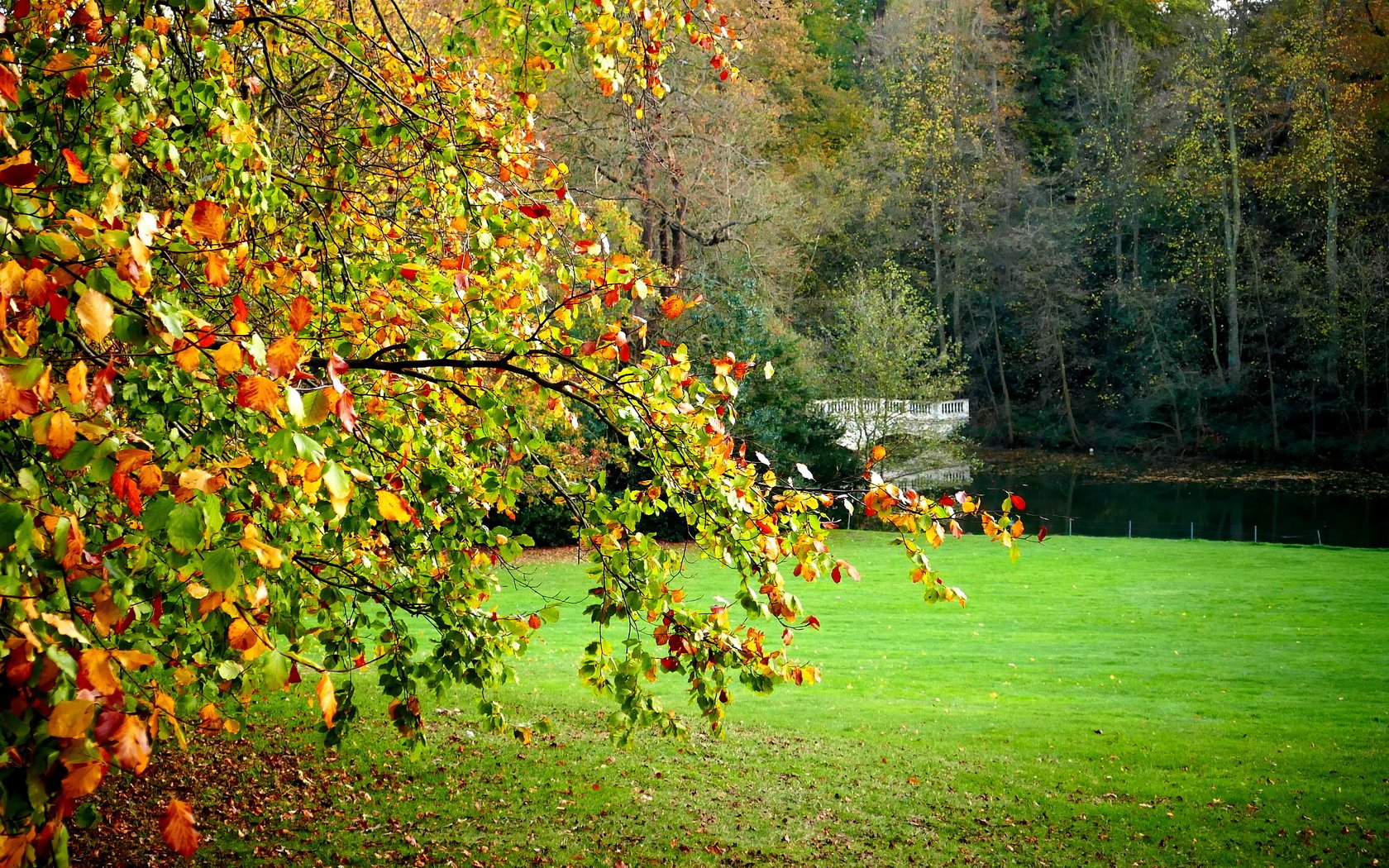 Обои деревья, пейзаж, поле, мост, лондон, осень, hampstead heath, trees, landscape, field, bridge, london, autumn разрешение 4327x2310 Загрузить