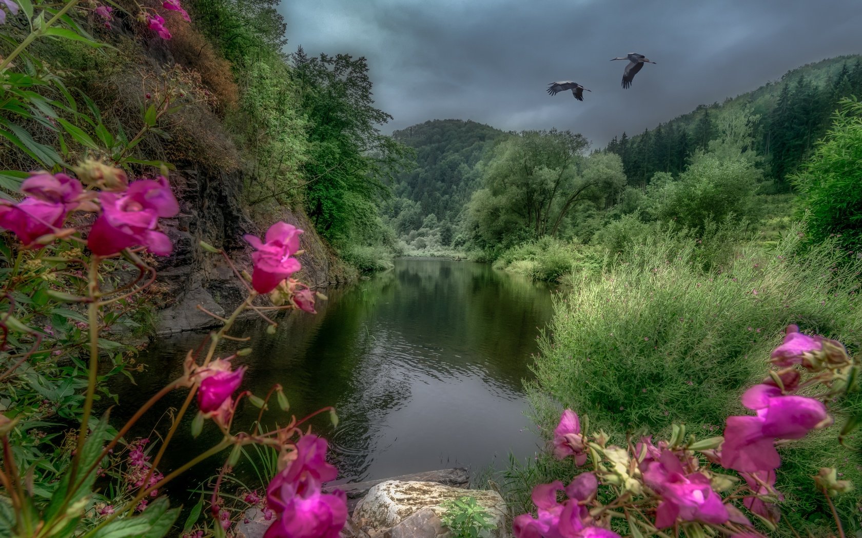 Обои деревья, река, горы, пейзаж, австрия, журавли, river kamp, trees, river, mountains, landscape, austria, cranes разрешение 2880x1922 Загрузить