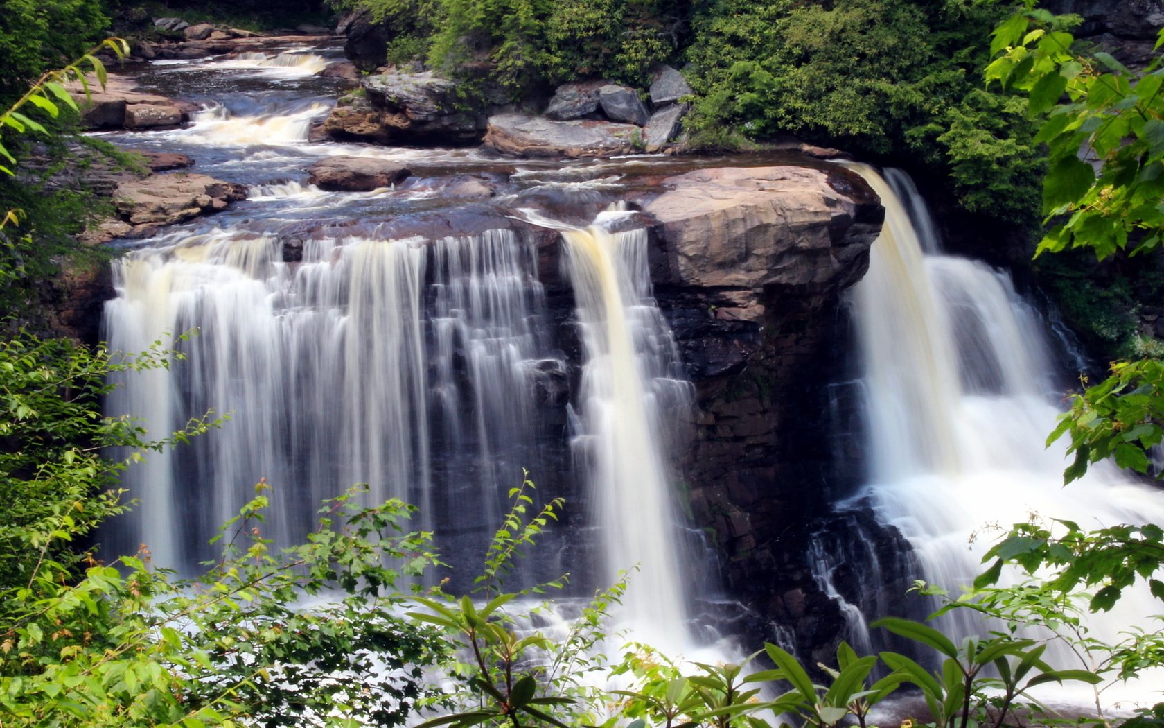 Обои камни, the park is blackwater fall, зелень, листья, ручей, ветки, водопад, сша, blackwater falls state park, парк блэкуотер-фолс, the park is blackwater falls, stones, greens, leaves, stream, branches, waterfall, usa разрешение 2160x1440 Загрузить