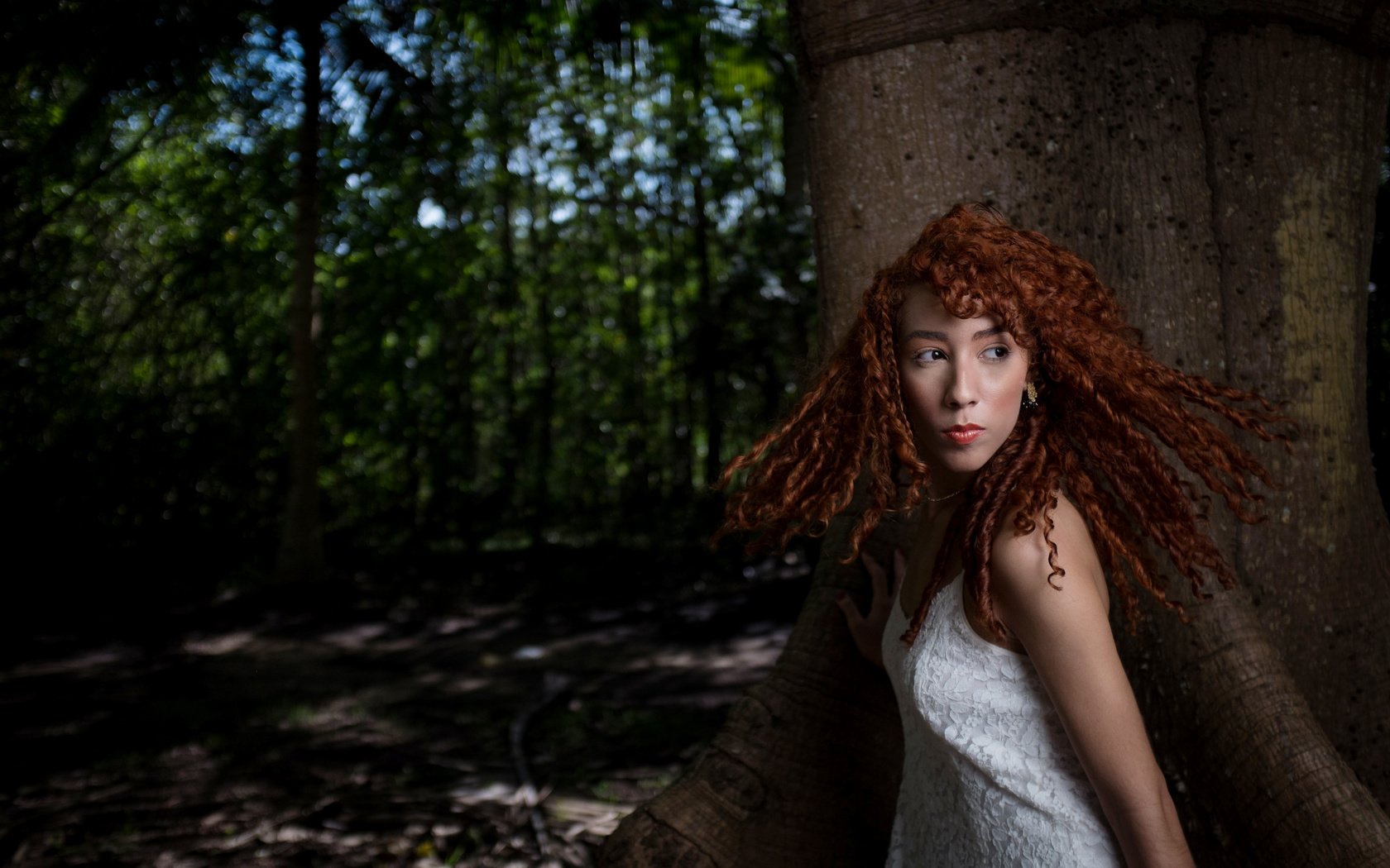 Обои природа, дерево, девушка, рыжеволосая, nature, tree, girl, redhead разрешение 4896x3264 Загрузить