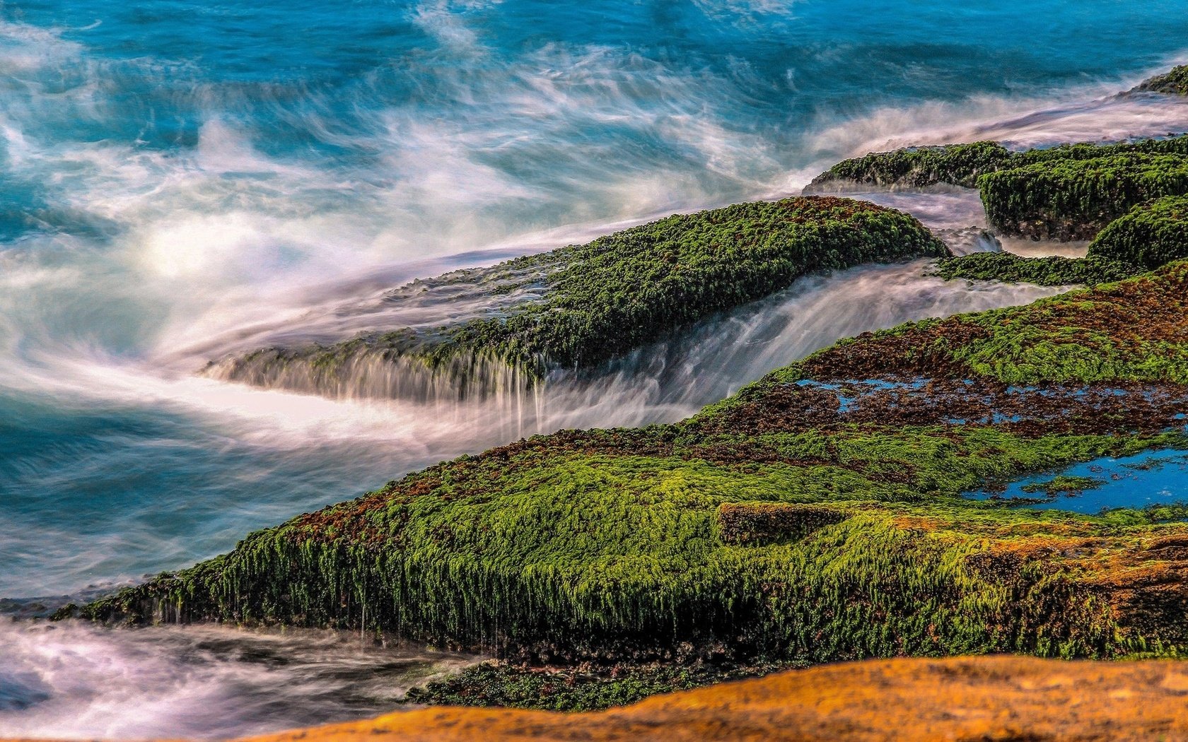 Обои природа, камни, море, водоросли, nature, stones, sea, algae разрешение 1920x1080 Загрузить