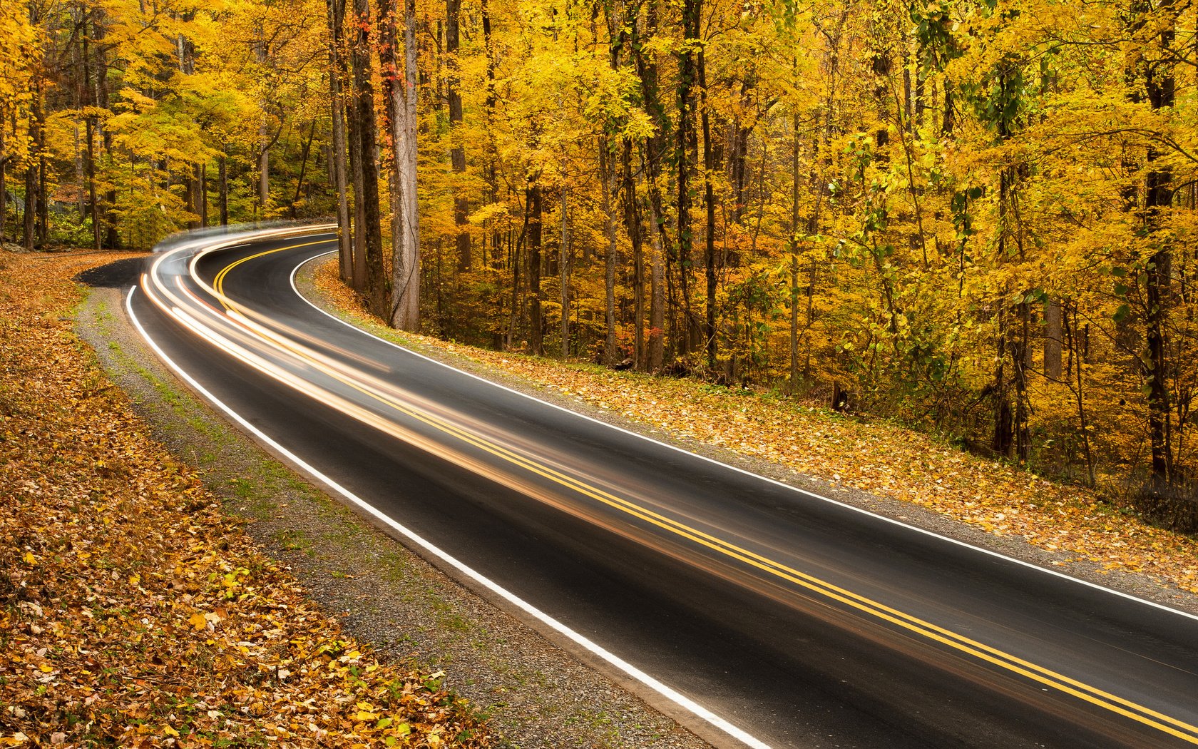 Обои дорога, деревья, природа, листья, парк, осень, road, trees, nature, leaves, park, autumn разрешение 2048x1294 Загрузить