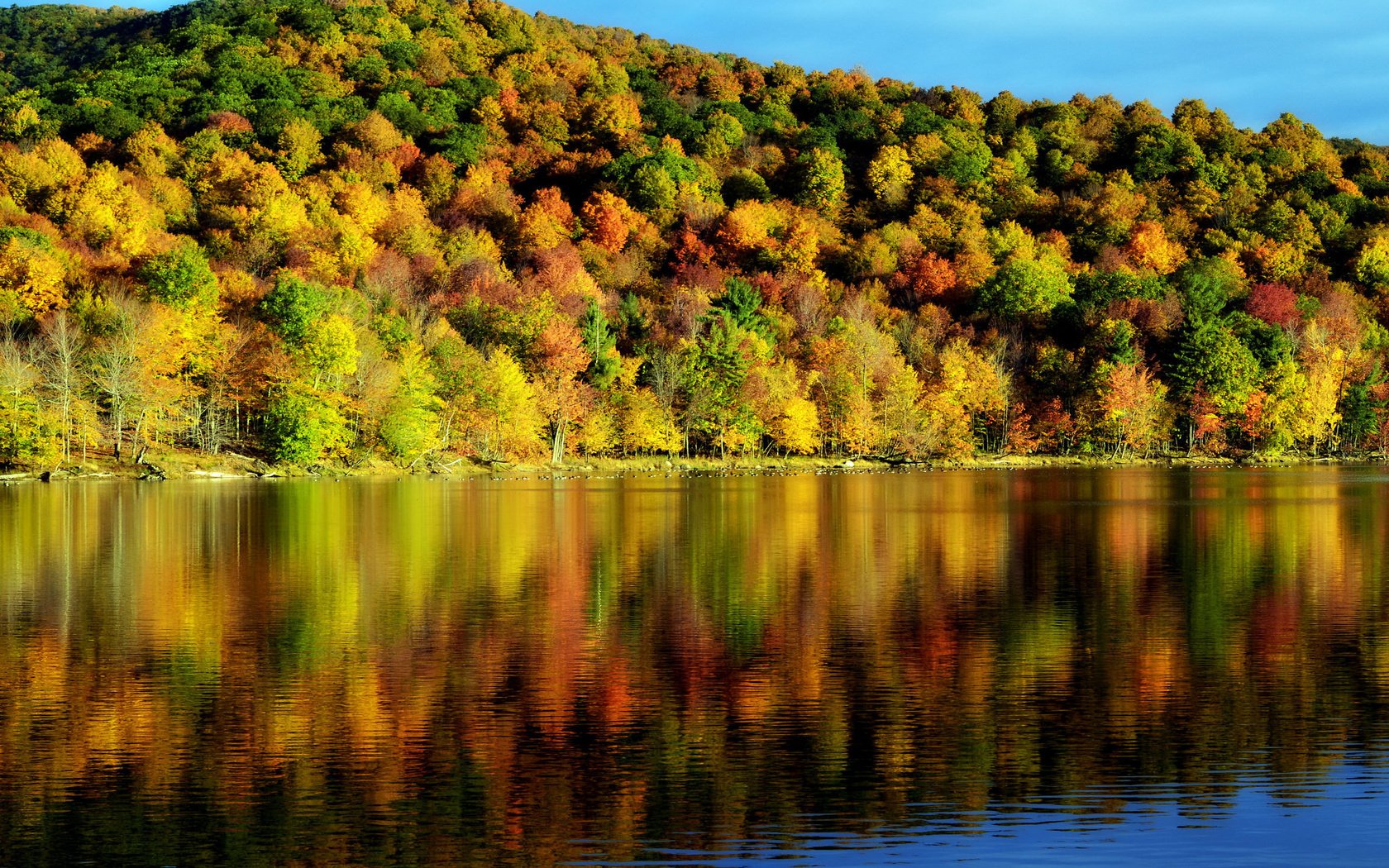 Обои деревья, вода, отражение, осень, красота, пейзаж. природа, время года, trees, water, reflection, autumn, beauty, landscape. nature, time of the year разрешение 2048x1356 Загрузить