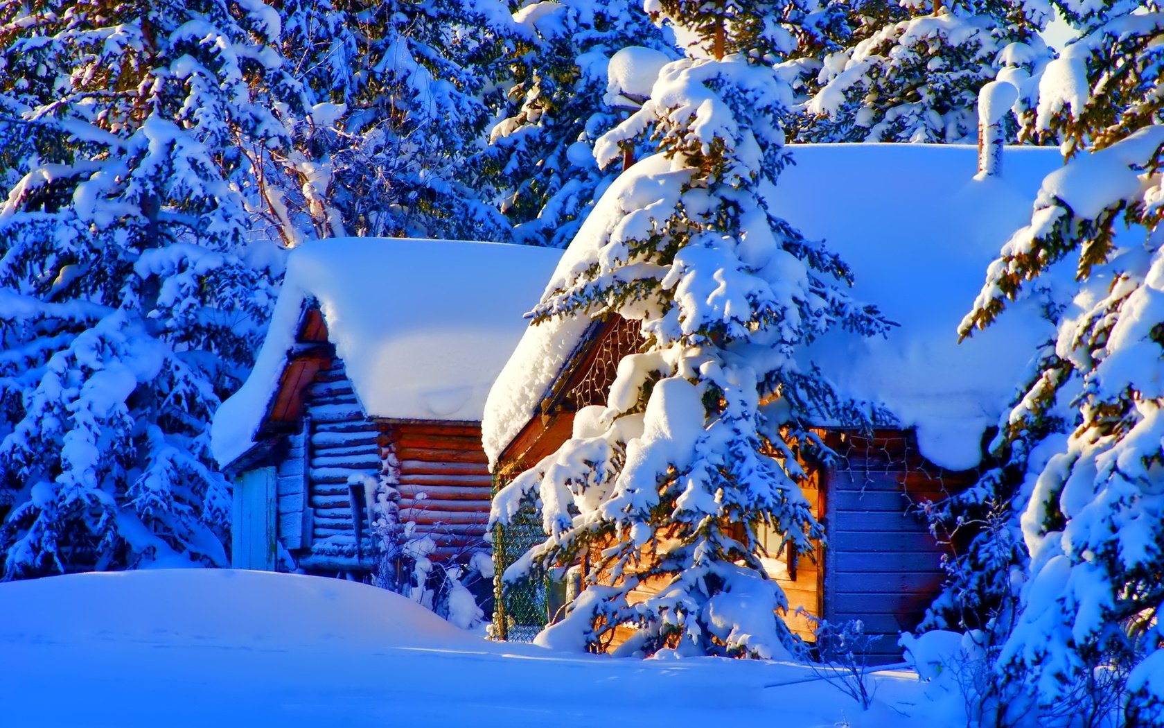 Обои снег, природа, зима, фото, дома, ель, snow, nature, winter, photo, home, spruce разрешение 1920x1200 Загрузить