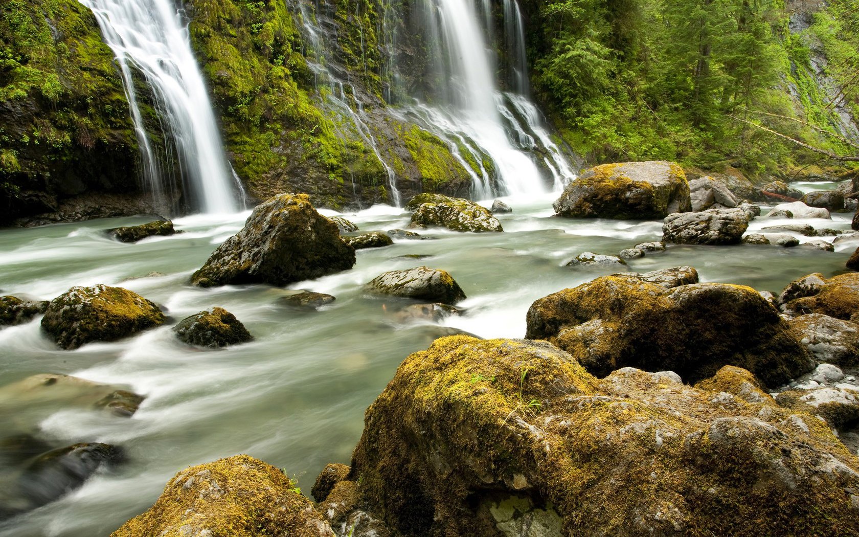 Обои деревья, река, камни, лес, водопад, trees, river, stones, forest, waterfall разрешение 1920x1080 Загрузить