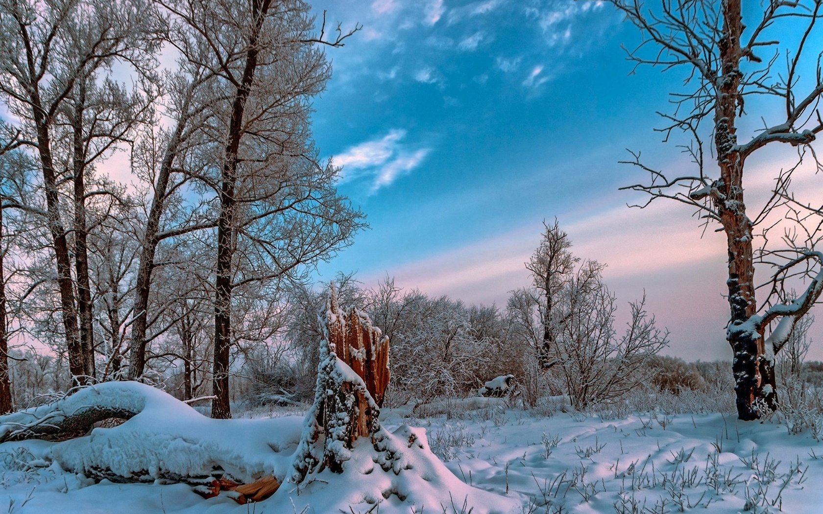 Обои небо, облака, деревья, снег, природа, лес, зима, the sky, clouds, trees, snow, nature, forest, winter разрешение 1920x1286 Загрузить