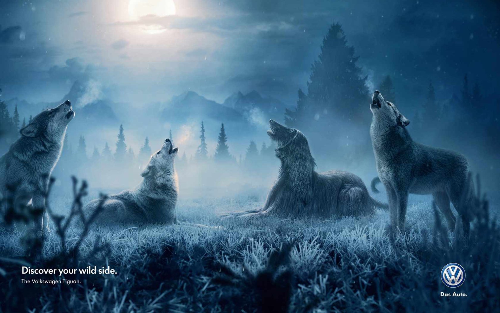 Обои собака, креатив, волки, dog, creative, wolves разрешение 1920x1200 Загрузить