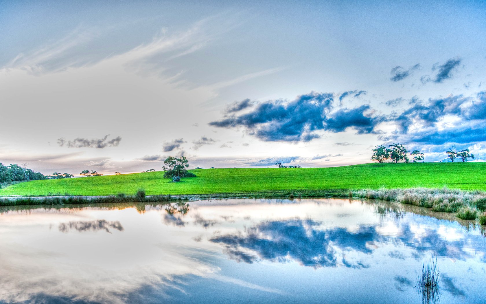 Обои небо, трава, облака, деревья, озеро, отражение, the sky, grass, clouds, trees, lake, reflection разрешение 2560x1440 Загрузить