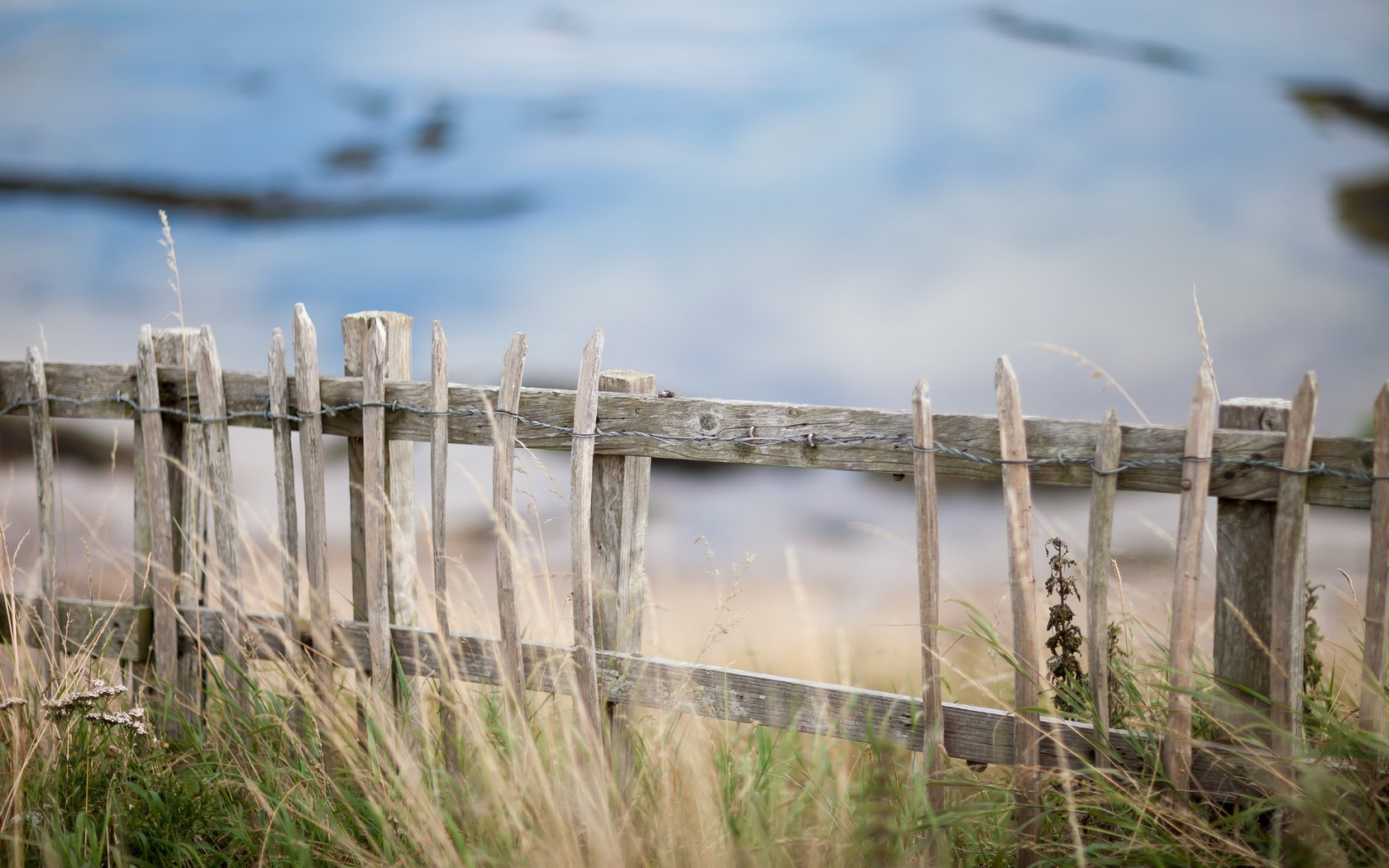 Обои трава, природа, забор, grass, nature, the fence разрешение 2048x1365 Загрузить