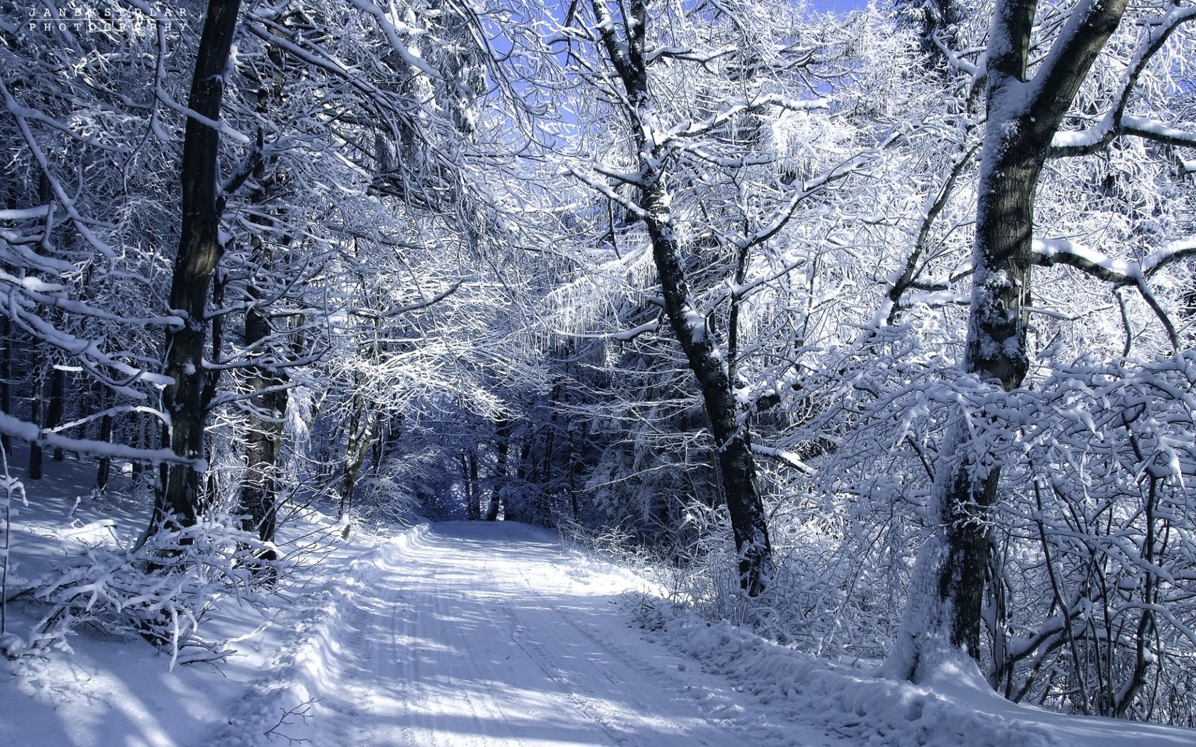 Обои дорога, деревья, снег, зима, пейзаж, холод, автор, janek sedlar, road, trees, snow, winter, landscape, cold, author разрешение 1920x1274 Загрузить