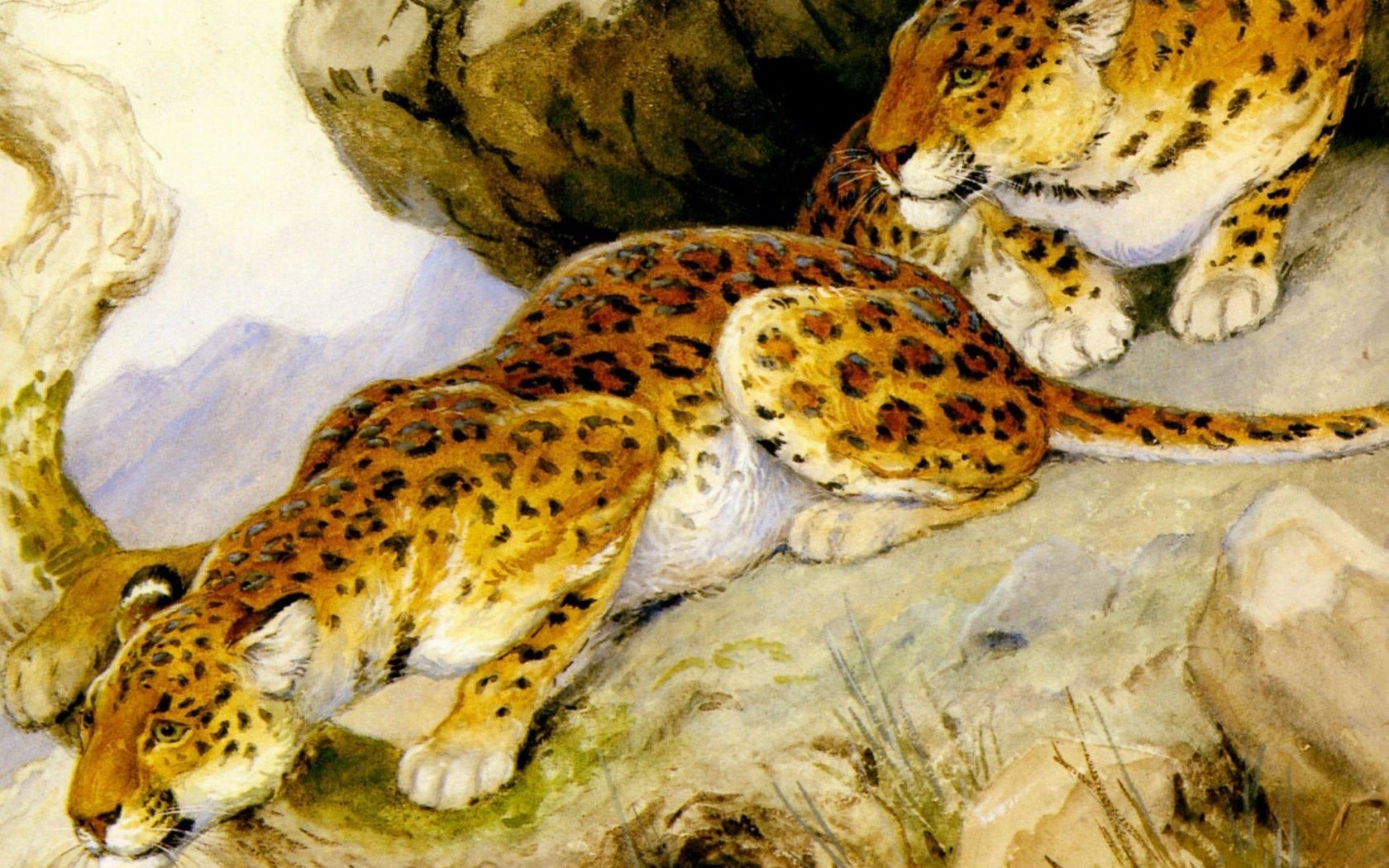 Обои арт, хищники, леопарды, живопись, georges-frederic rotig, art, predators, leopards, painting разрешение 2391x1970 Загрузить