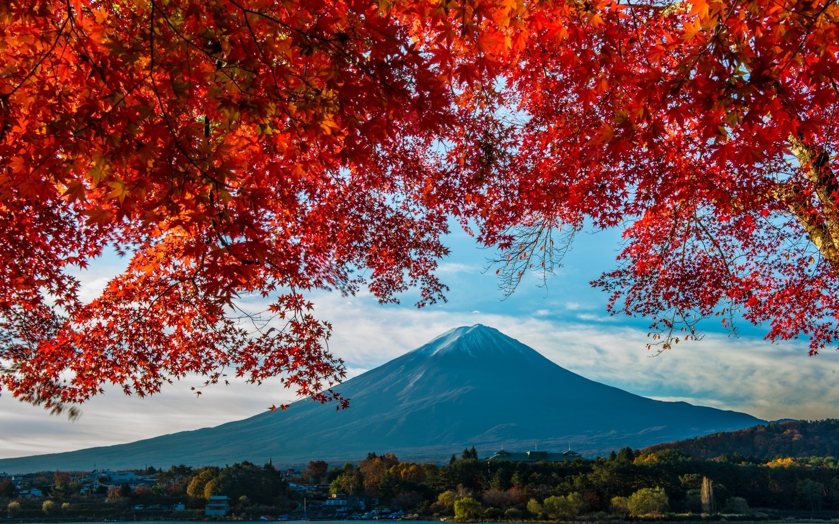 Обои гора, осень, япония, клен, фудзияма, mountain, autumn, japan, maple, fuji разрешение 2400x1597 Загрузить