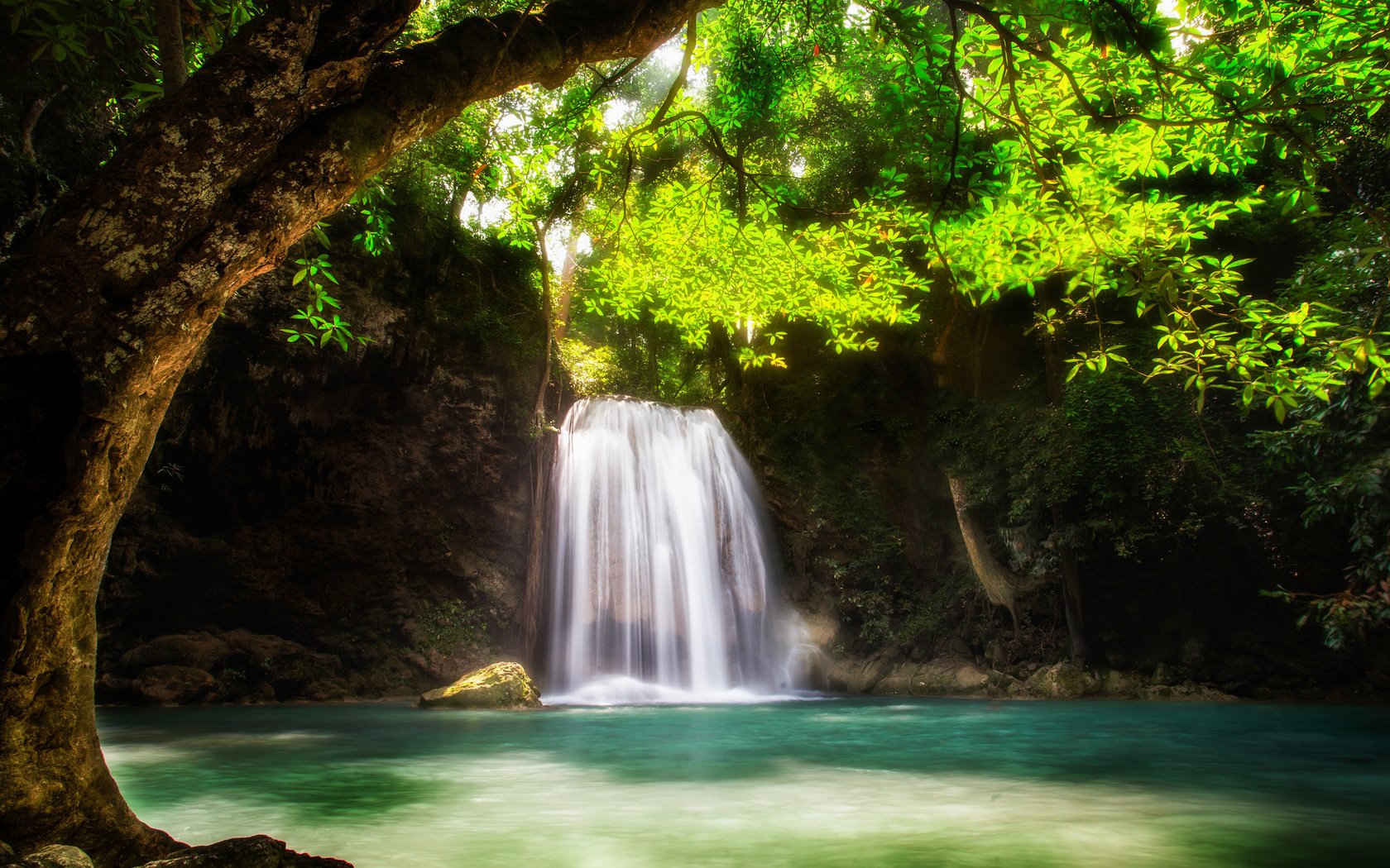 Обои вода, дерево, водопад, поток, зеленые листья, water, tree, waterfall, stream, green leaves разрешение 2048x1366 Загрузить