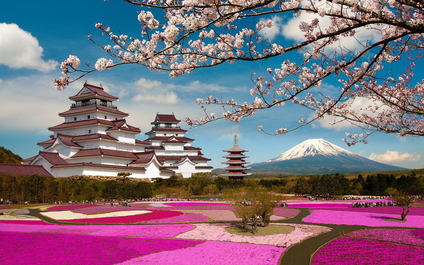 Обои цветение, фукусима, парк, гора фудзи, ветки, aizuwakamatsu castle, замок, tsuruga castle, aizuwakamatsu, япония, замок аидзувакамацу, сакура, аидзувакамацу, вулкан, японии, фудзияма, fuji, flowering, fukushima, park, mount fuji, branches, castle, japan, the castle of wakamatsu, sakura, wakamatsu, the volcano разрешение 2048x1536 Загрузить