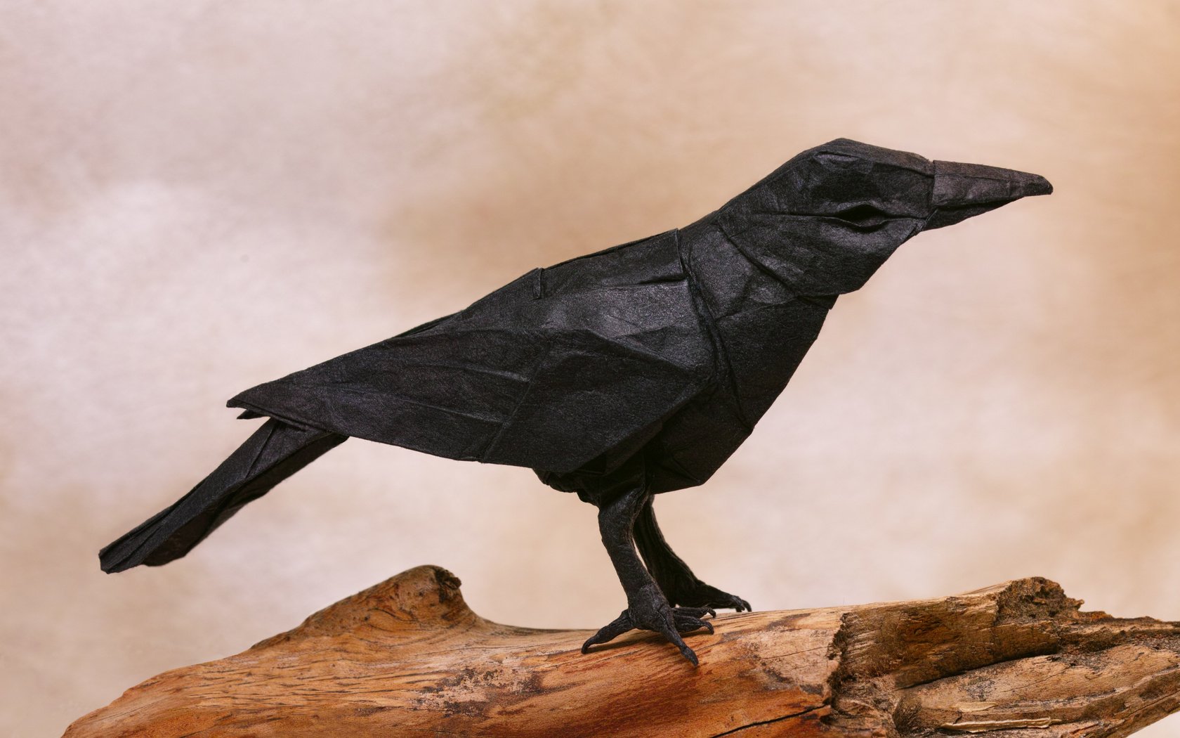 Обои бумага, птица, оригами, ворон, ворона, paper, bird, origami, raven, crow разрешение 4704x3136 Загрузить