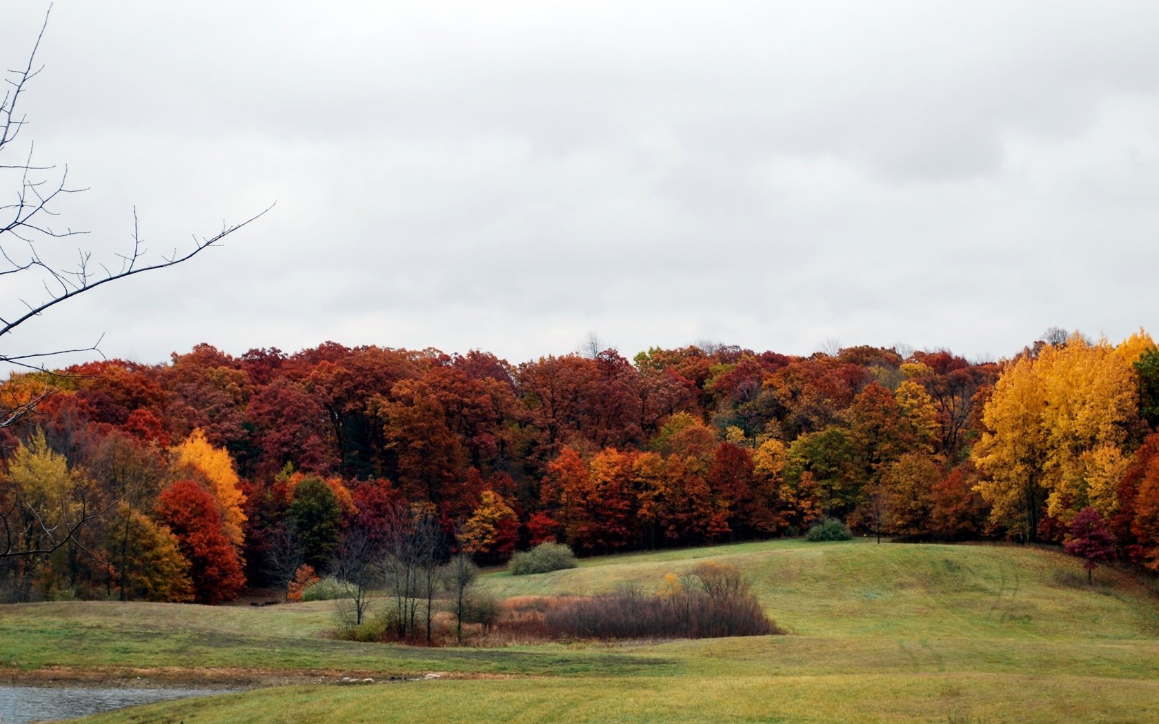 Обои деревья, лес, поле, осень, расцветка, опадают, осен, trees, forest, field, autumn, colors, fall разрешение 3867x2074 Загрузить