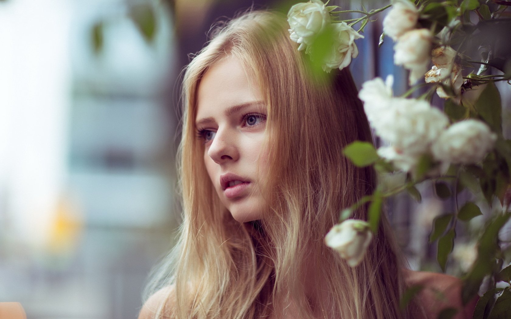 Обои девушка, блондинка, портрет, розы, сад, волосы, girl, blonde, portrait, roses, garden, hair разрешение 2048x1152 Загрузить