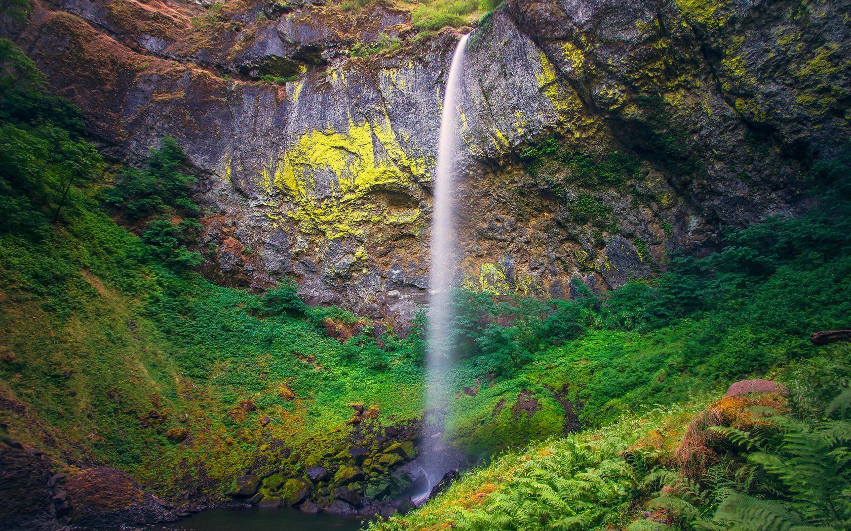 Обои скалы, elowah, камни, растения, водопад, сша, папоротник, орегон, heather west, elowah-falls, rocks, stones, plants, waterfall, usa, fern, oregon разрешение 2048x1365 Загрузить