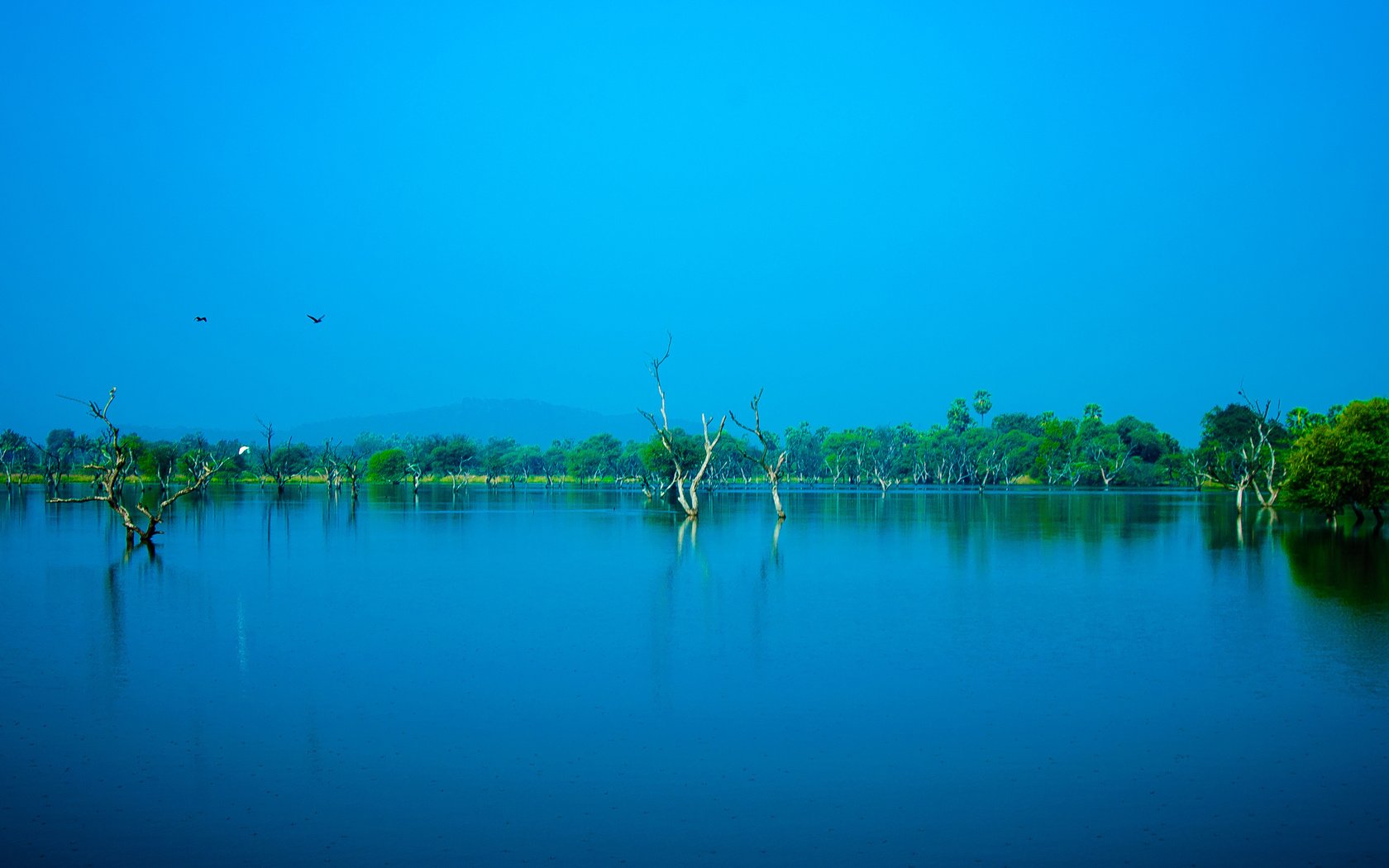 Обои небо, деревья, вода, озеро, природа, пейзаж, птицы, синее, the sky, trees, water, lake, nature, landscape, birds, blue разрешение 4288x2160 Загрузить