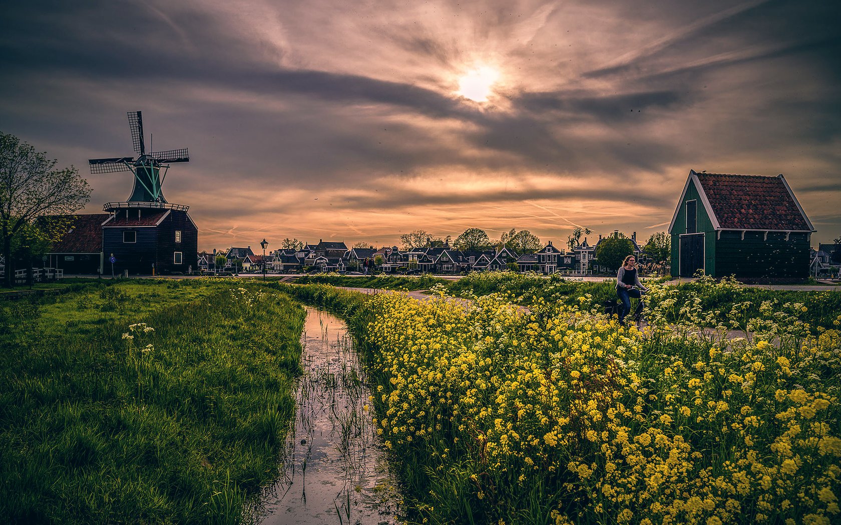 Обои небо, цветы, мельница, дома, through the yellow furrow, the sky, flowers, mill, home разрешение 2000x1335 Загрузить