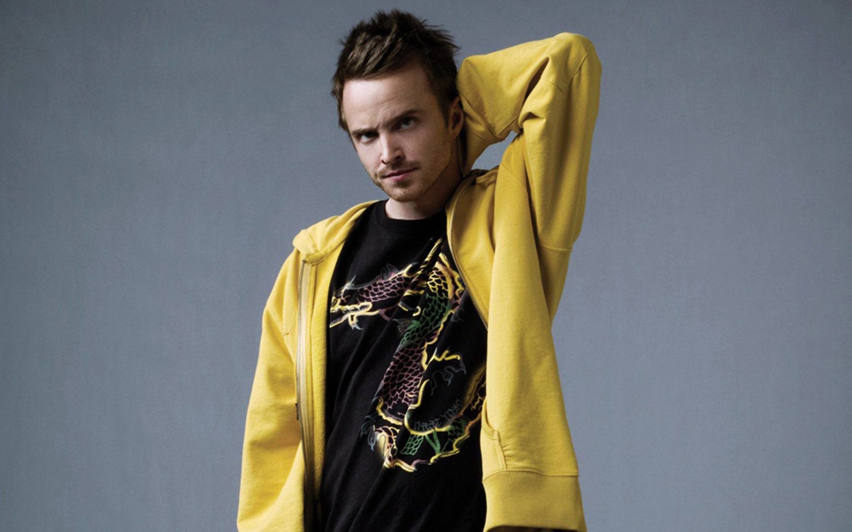 Обои взгляд, актёр, лицо, мужчина, аарон пол, look, actor, face, male, aaron paul разрешение 1920x1080 Загрузить