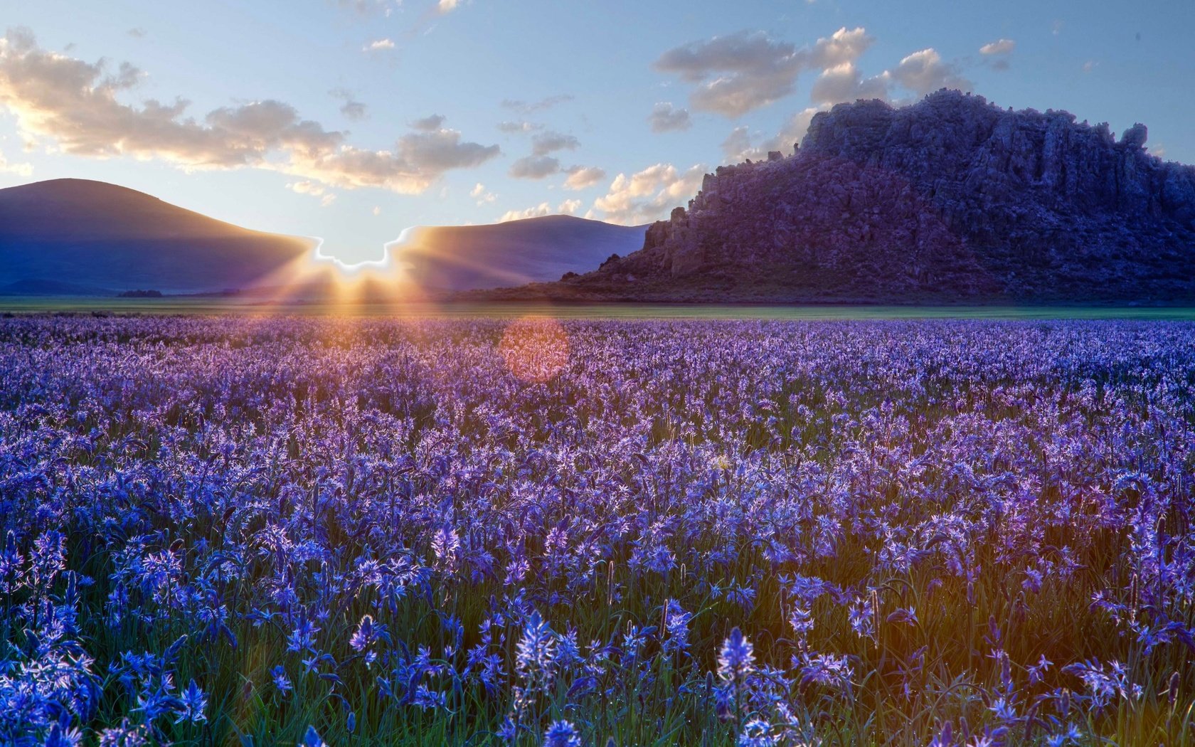 Обои небо, цветы, облака, природа, закат, пейзаж, поле, солнечные лучи, the sky, flowers, clouds, nature, sunset, landscape, field, the sun's rays разрешение 2880x1800 Загрузить