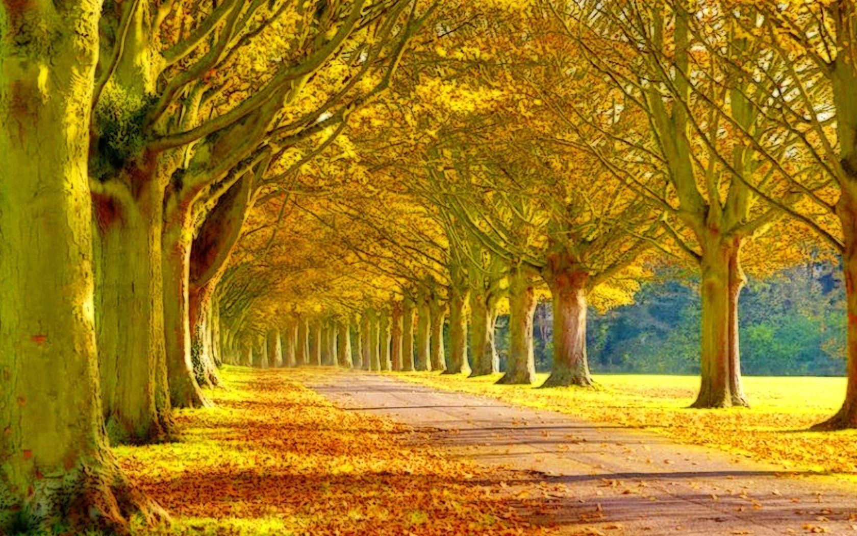 Обои дорога, деревья, листья, парк, осень, аллея, дроога, road, trees, leaves, park, autumn, alley, drooga разрешение 1920x1080 Загрузить