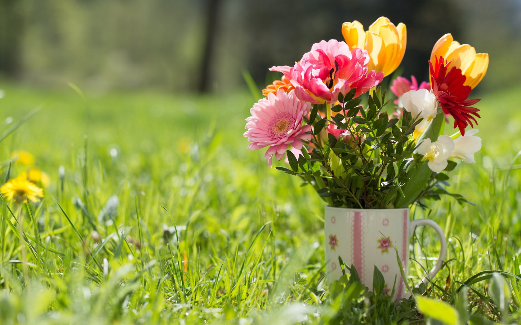 Обои трава, кружка, букет, тюльпаны, герберы, grass, mug, bouquet, tulips, gerbera разрешение 2048x1362 Загрузить