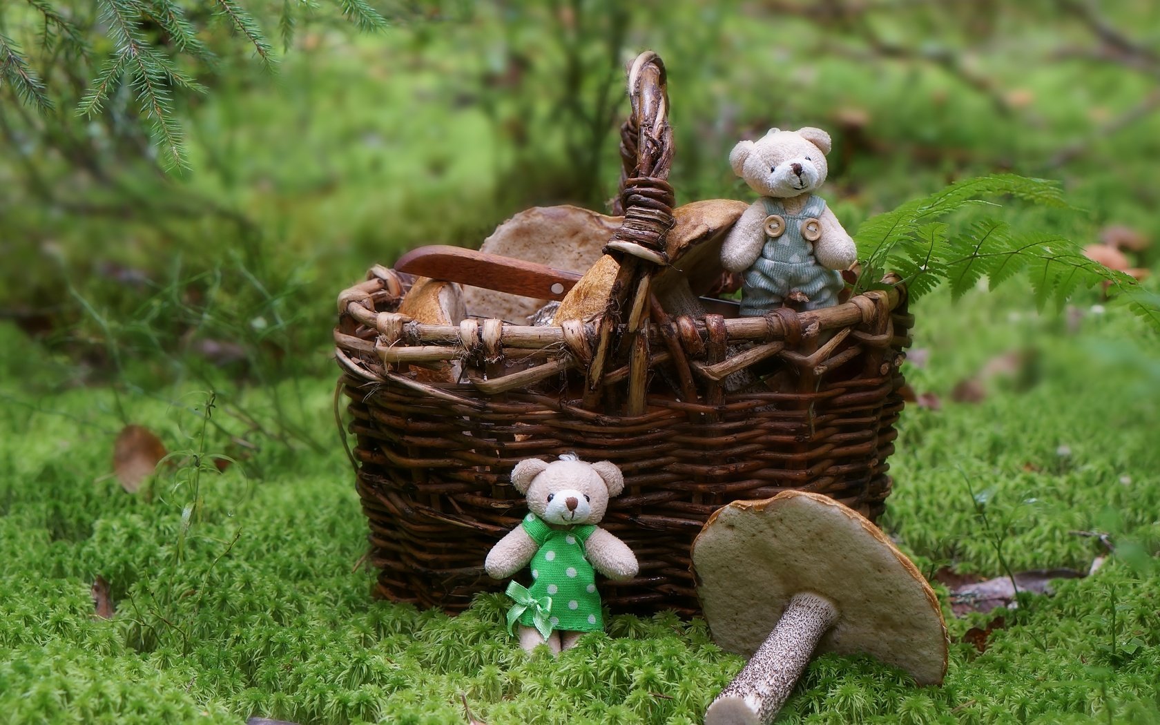 Обои лес, грибы, корзина, игрушки, медвежата, forest, mushrooms, basket, toys, bears разрешение 3000x1809 Загрузить