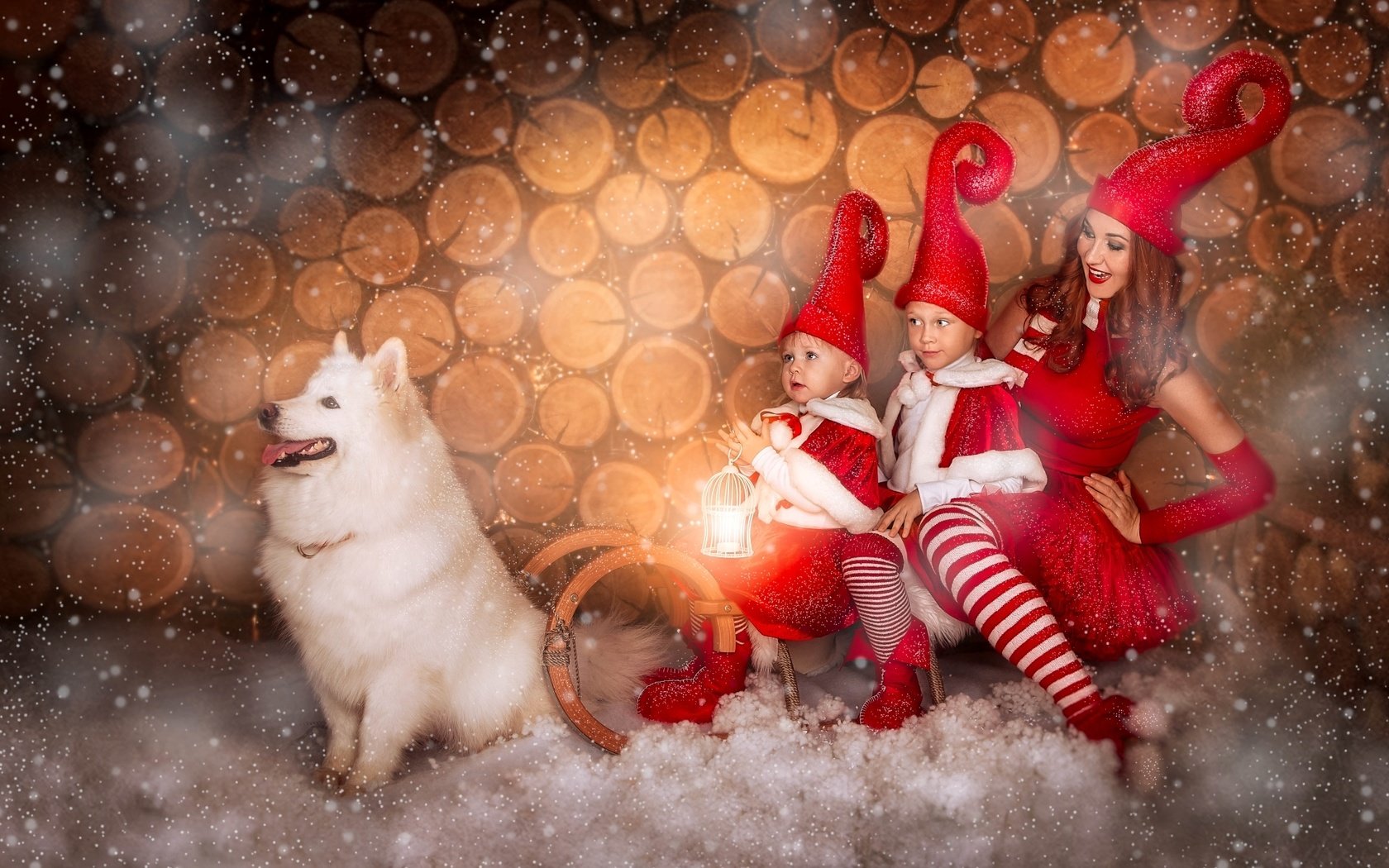 Обои снег, девушка, собака, дети, сани, самоед, колпаки, snow, girl, dog, children, sleigh, samoyed, caps разрешение 1920x1224 Загрузить