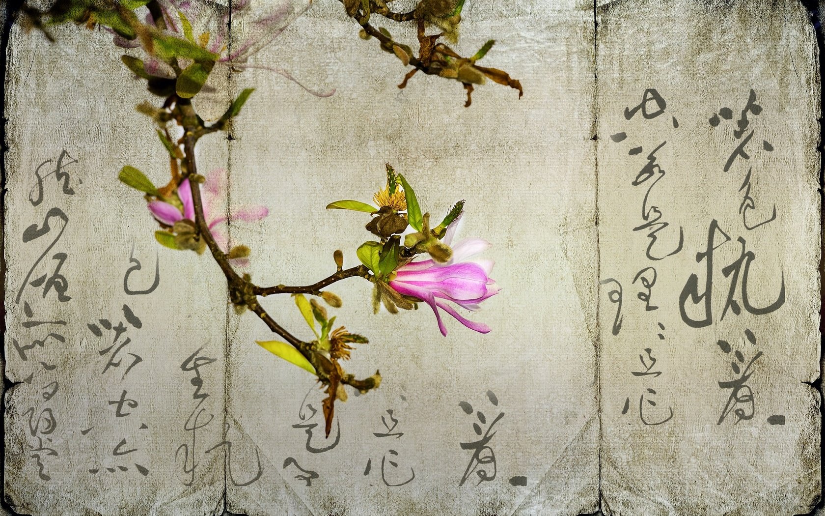 Обои цветок, бумага, иероглифы, магнолия, flower, paper, characters, magnolia разрешение 2048x1367 Загрузить