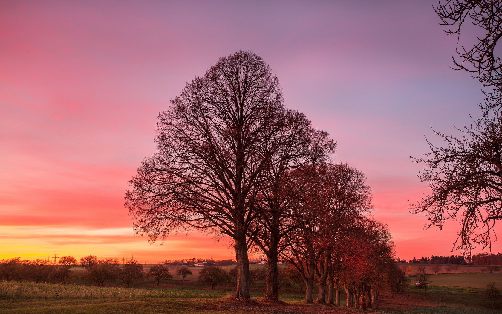 Обои деревья, природа, закат, trees, nature, sunset разрешение 2047x1269 Загрузить