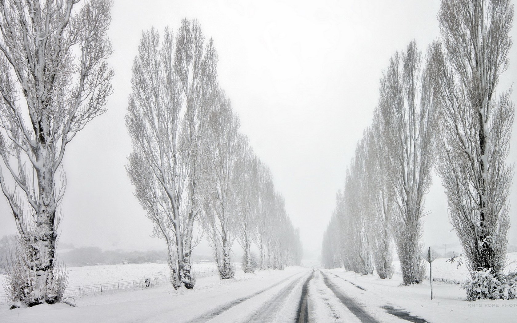 Обои дорога, деревья, снег, зима, road, trees, snow, winter разрешение 1920x1080 Загрузить