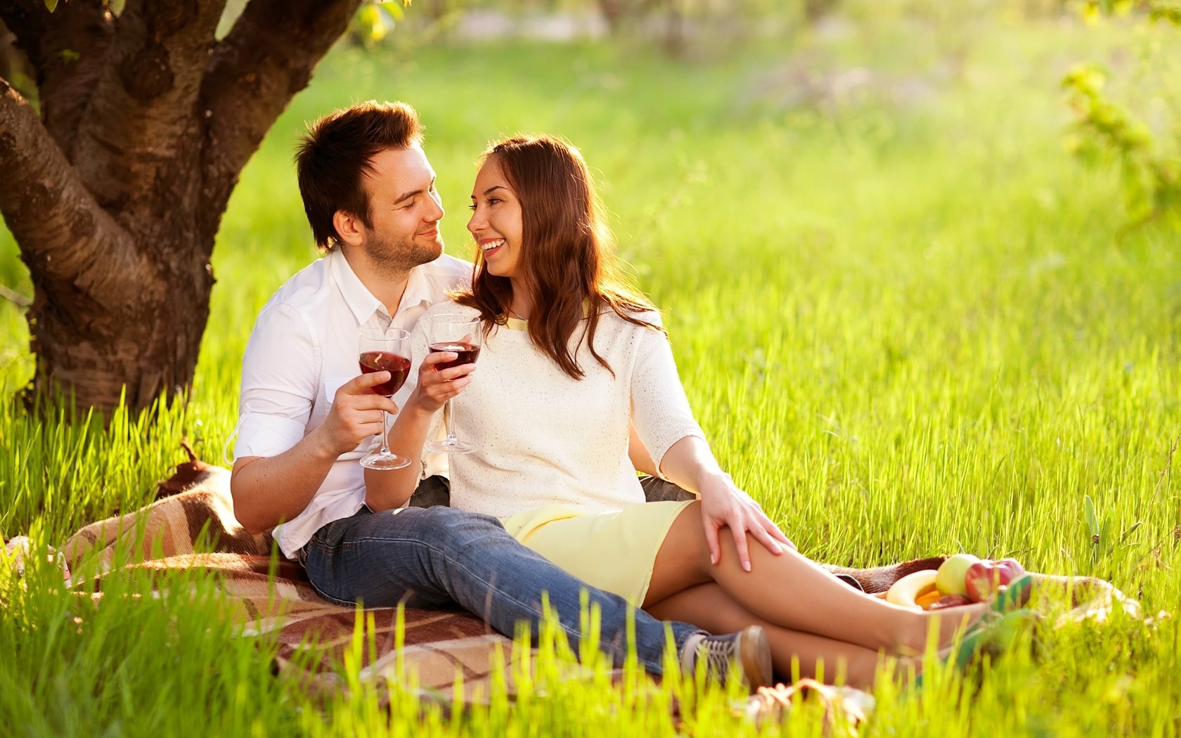 Обои природа, романтика, пара, отдых, вино, двое, пикник, nature, romance, pair, stay, wine, two, picnic разрешение 3861x2574 Загрузить