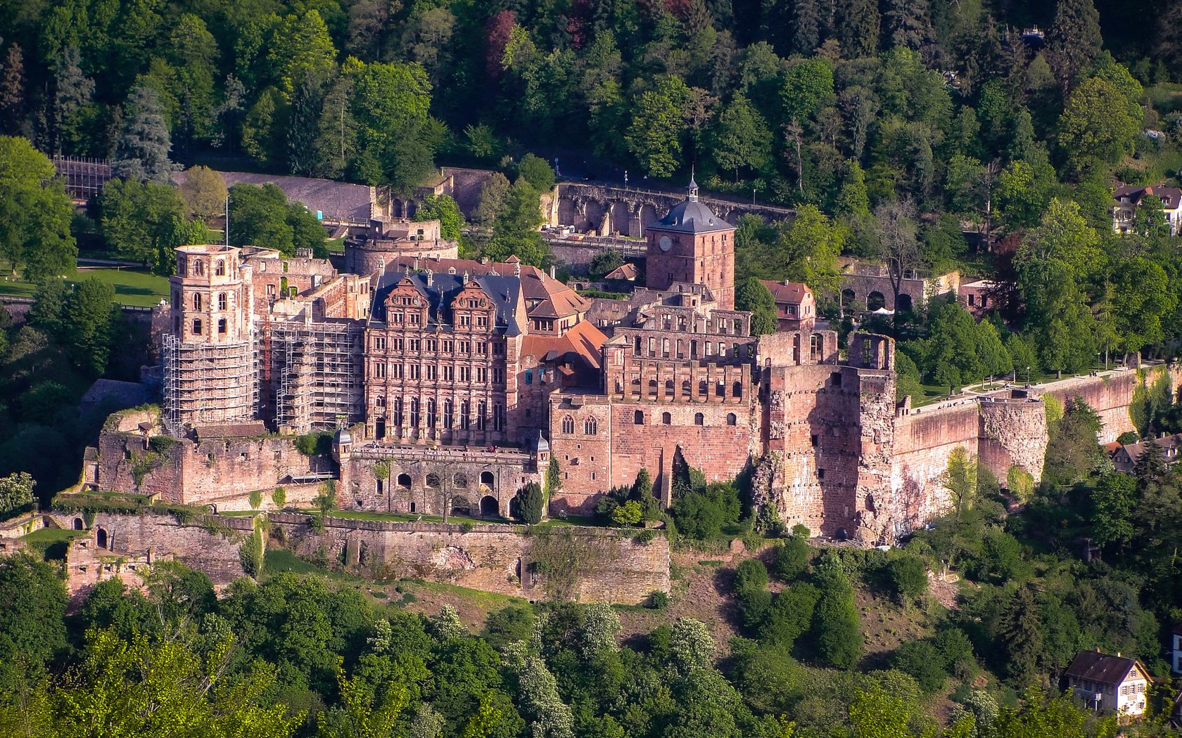 Обои деревья, лес, замок, вид сверху, германия, heidelberg castle, trees, forest, castle, the view from the top, germany разрешение 2048x1536 Загрузить