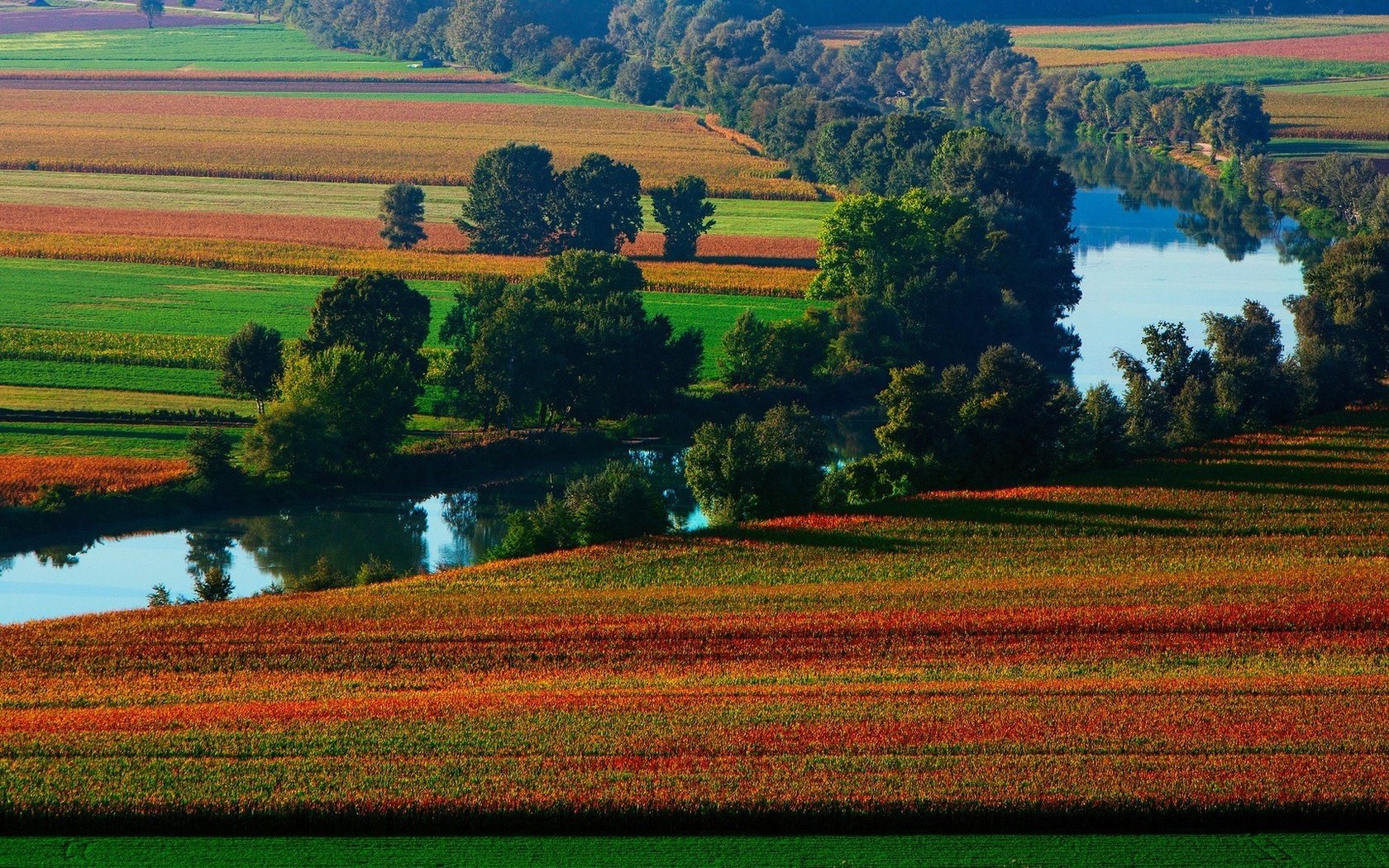 Обои деревья, река, природа, поле, берег реки, trees, river, nature, field, the river разрешение 1920x1080 Загрузить