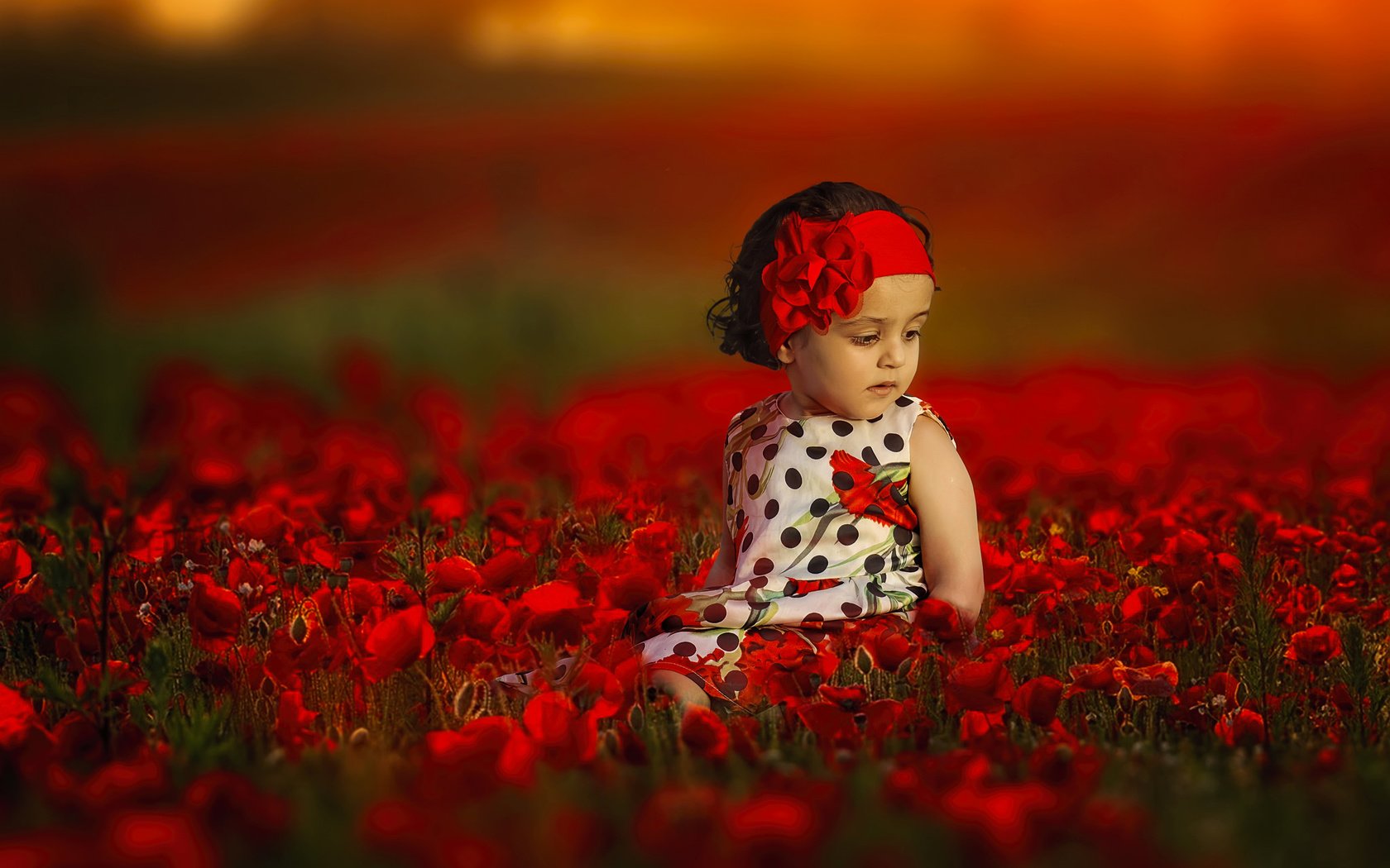 Обои цветы, настроение, маки, девочка, повязка, боке, flowers, mood, maki, girl, headband, bokeh разрешение 2048x1367 Загрузить