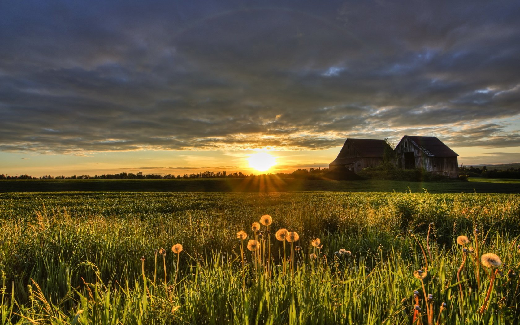 Обои закат, поле, лето, дом, sunset, field, summer, house разрешение 2560x1685 Загрузить