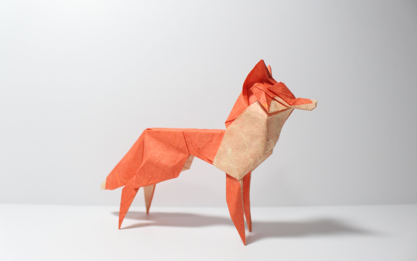 Обои бумага, лиса, оригами, paper, fox, origami разрешение 5184x3456 Загрузить