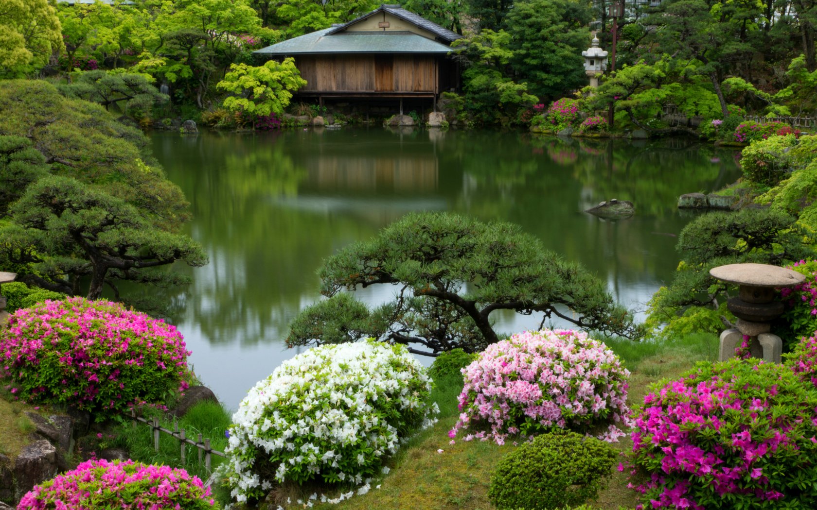 Обои кусты, япония, сад, домик, пруд, азалии, рододендрон, кобе, the bushes, japan, garden, house, pond, azaleas, rhododendron, kobe разрешение 2400x1600 Загрузить