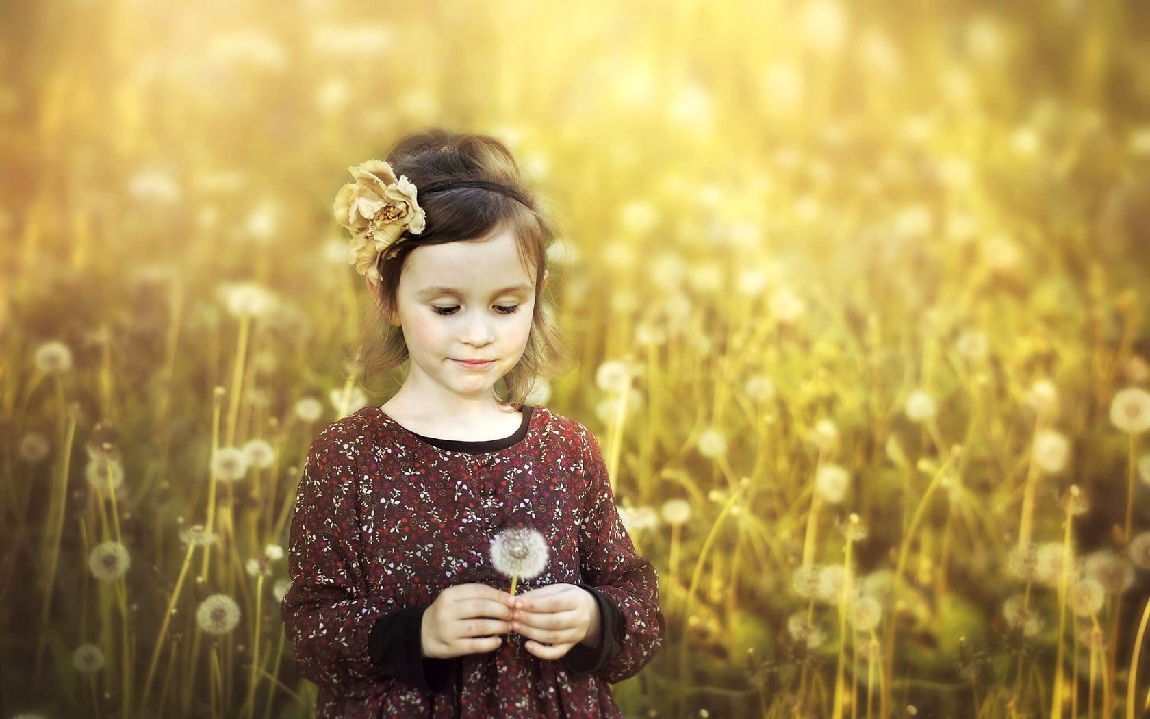 Обои девочка, весна, одуванчики, girl, spring, dandelions разрешение 2048x1439 Загрузить