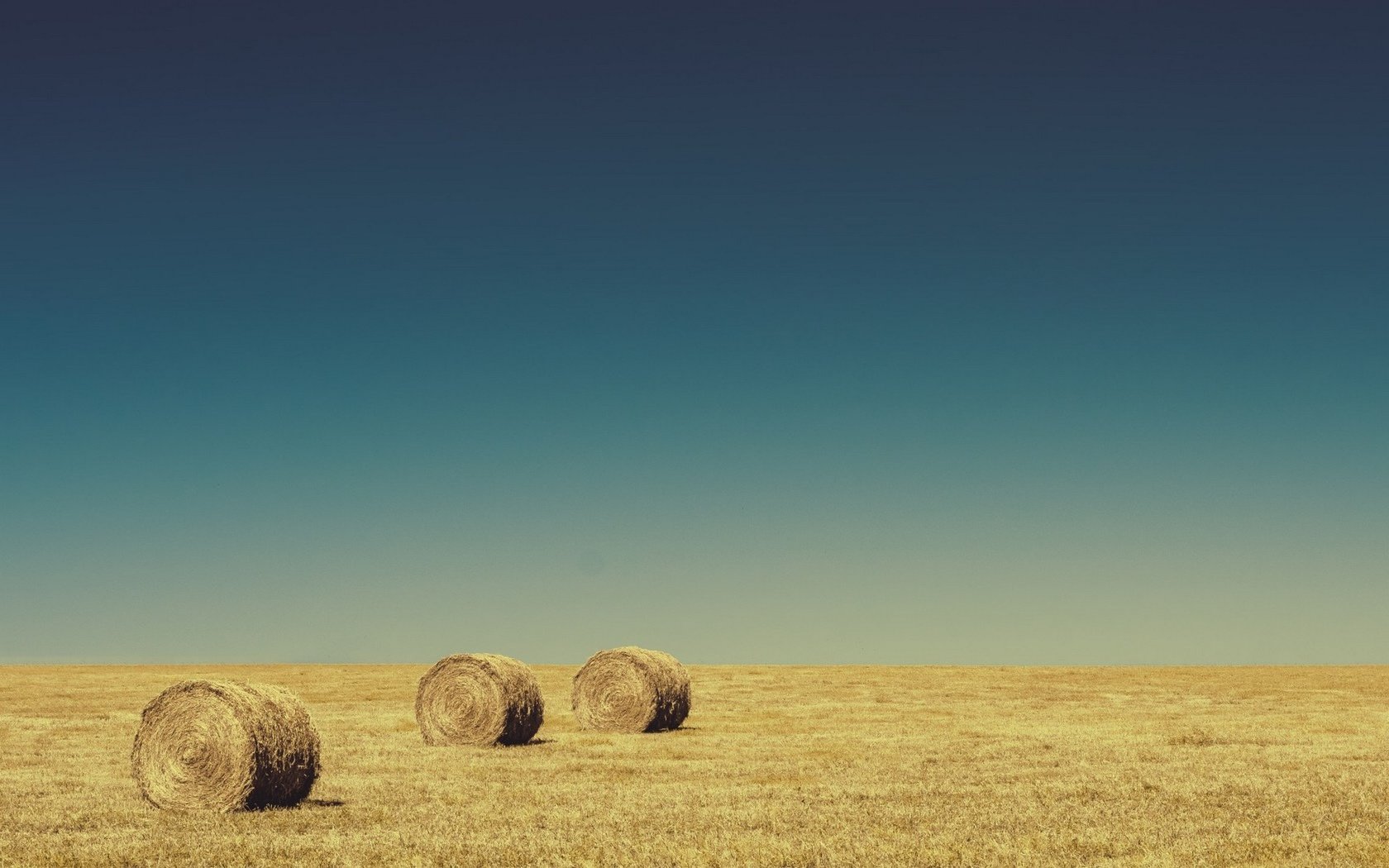 Обои небо, поле, горизонт, сено, тюки, рулоны, the sky, field, horizon, hay, bales, rolls разрешение 1920x1200 Загрузить