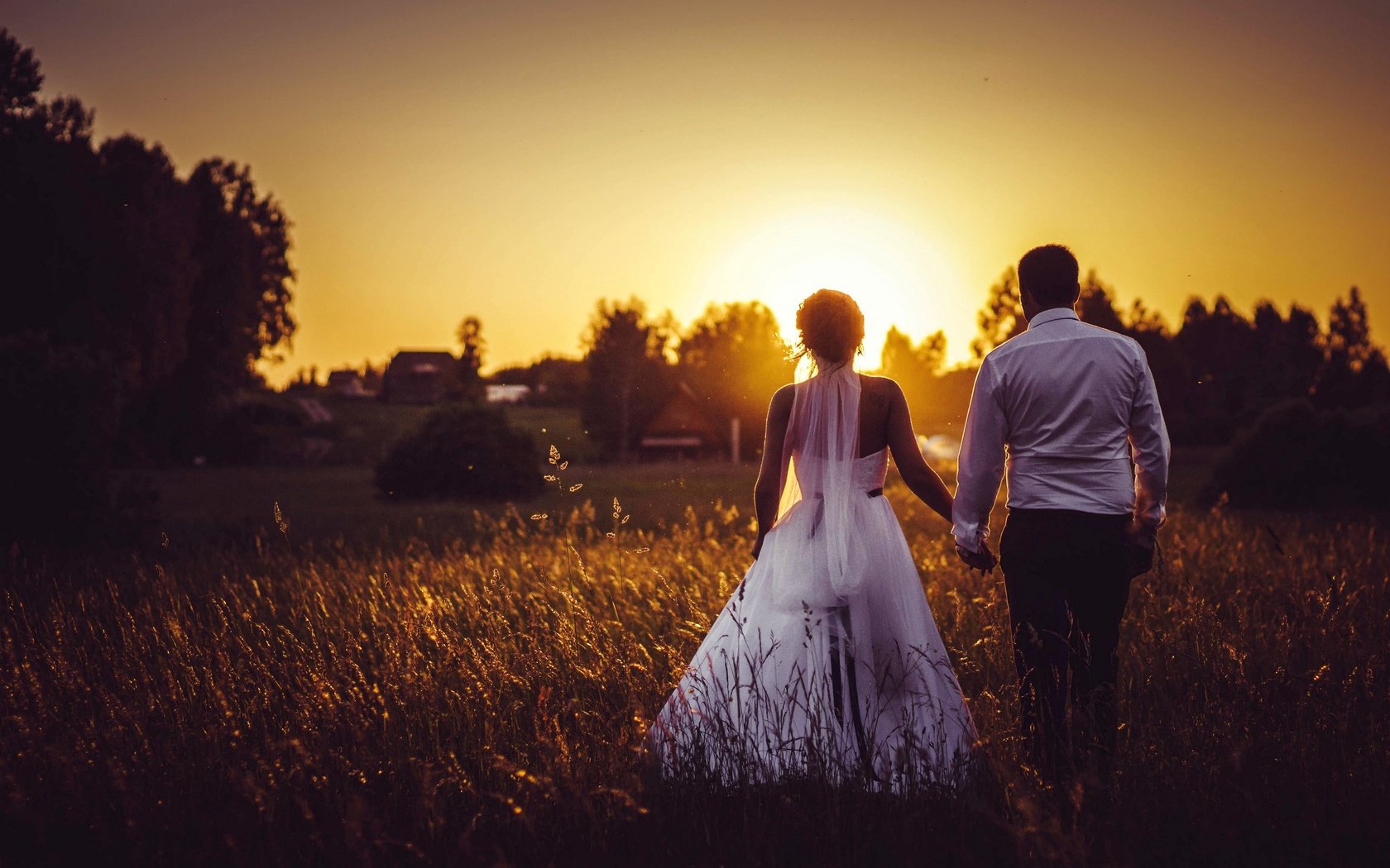 Обои закат, поле, жених, свадьба, невеста, sunset, field, the groom, wedding, the bride разрешение 2880x1920 Загрузить