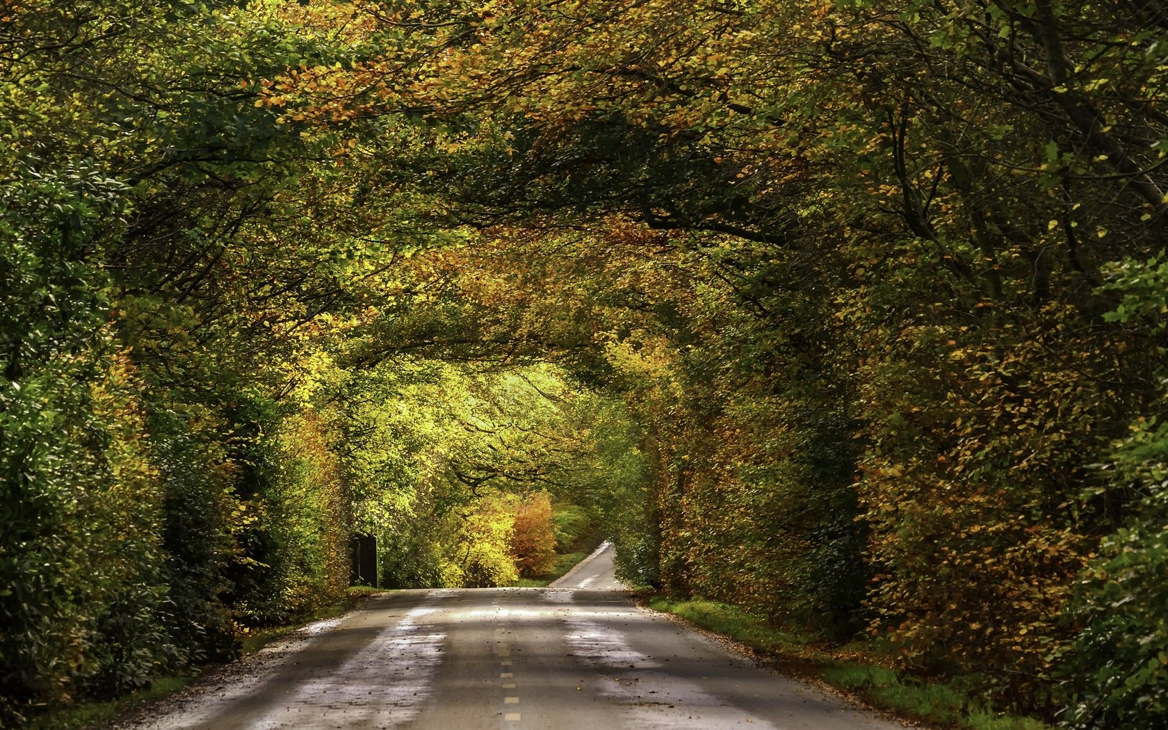 Обои дорога, листва, осень, опадают, осен, автодорога, road, foliage, autumn, fall разрешение 2009x1314 Загрузить