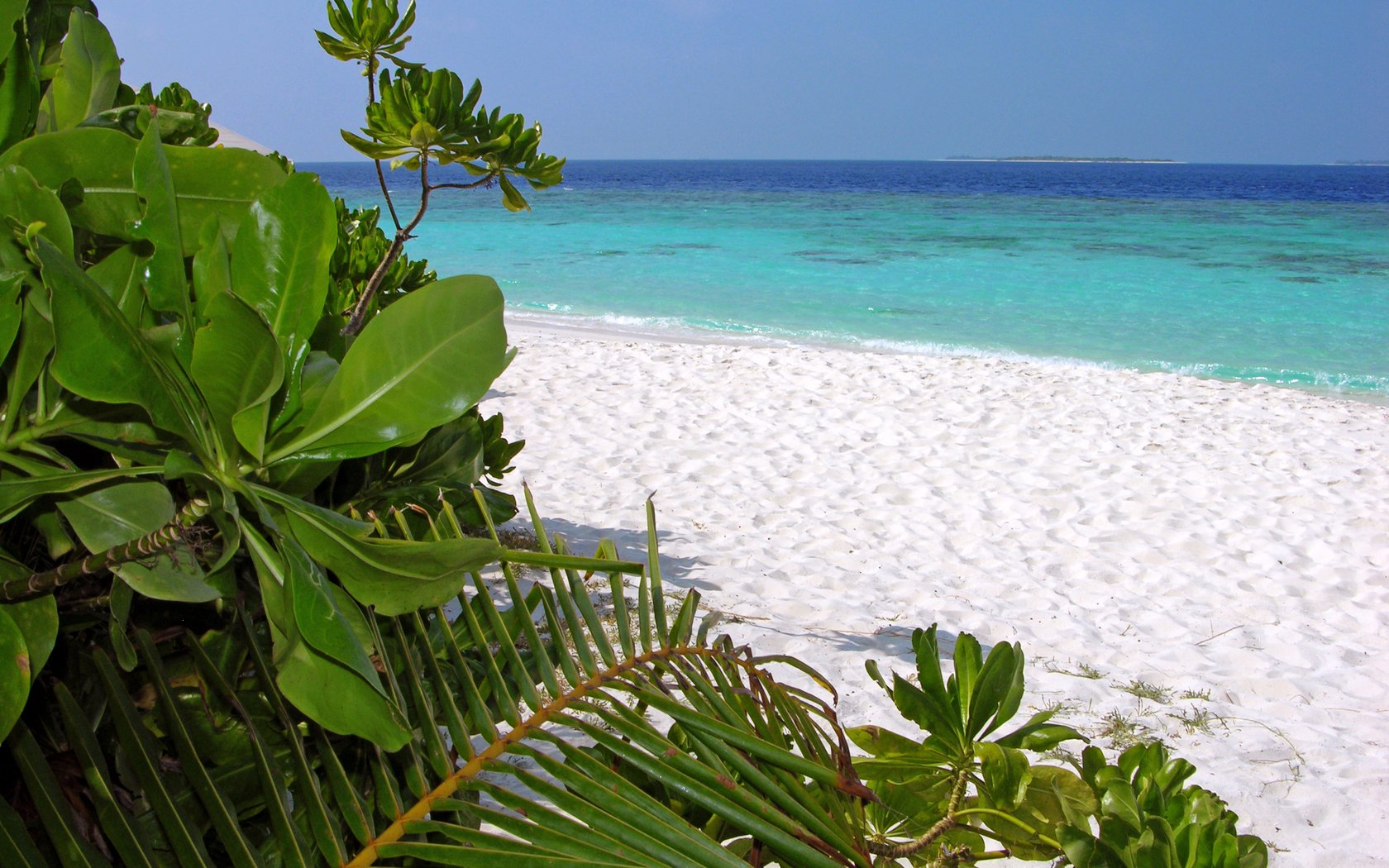 Обои пляж, тропики, beach, tropics разрешение 3264x2448 Загрузить