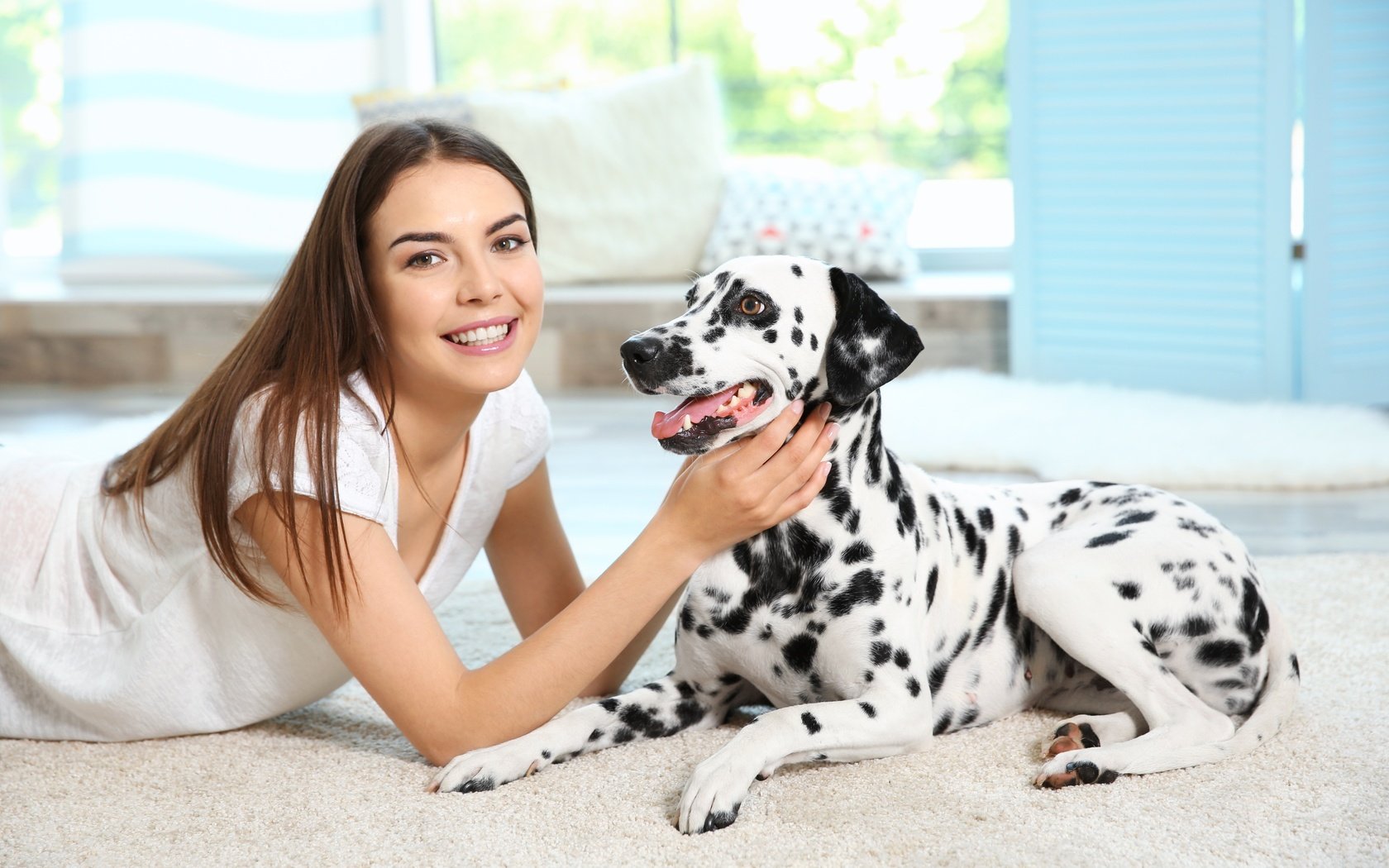 Обои девушка, улыбка, собака, далматин, cобака, dog-dalmatian-sobaka-dalmatin.jpg далматин, girl, smile, dog, dalmatian, dog-dalmatian-sobaka-dalmatin.jpg dalmatian разрешение 5648x3840 Загрузить