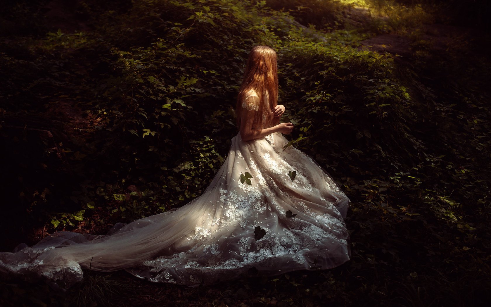 Обои лес, листья, девушка, платье, tj drysdale, secret place, forest, leaves, girl, dress разрешение 2000x1333 Загрузить