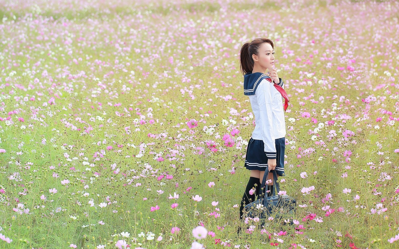 Обои цветы, девушка, поле, форма, flowers, girl, field, form разрешение 2048x1365 Загрузить