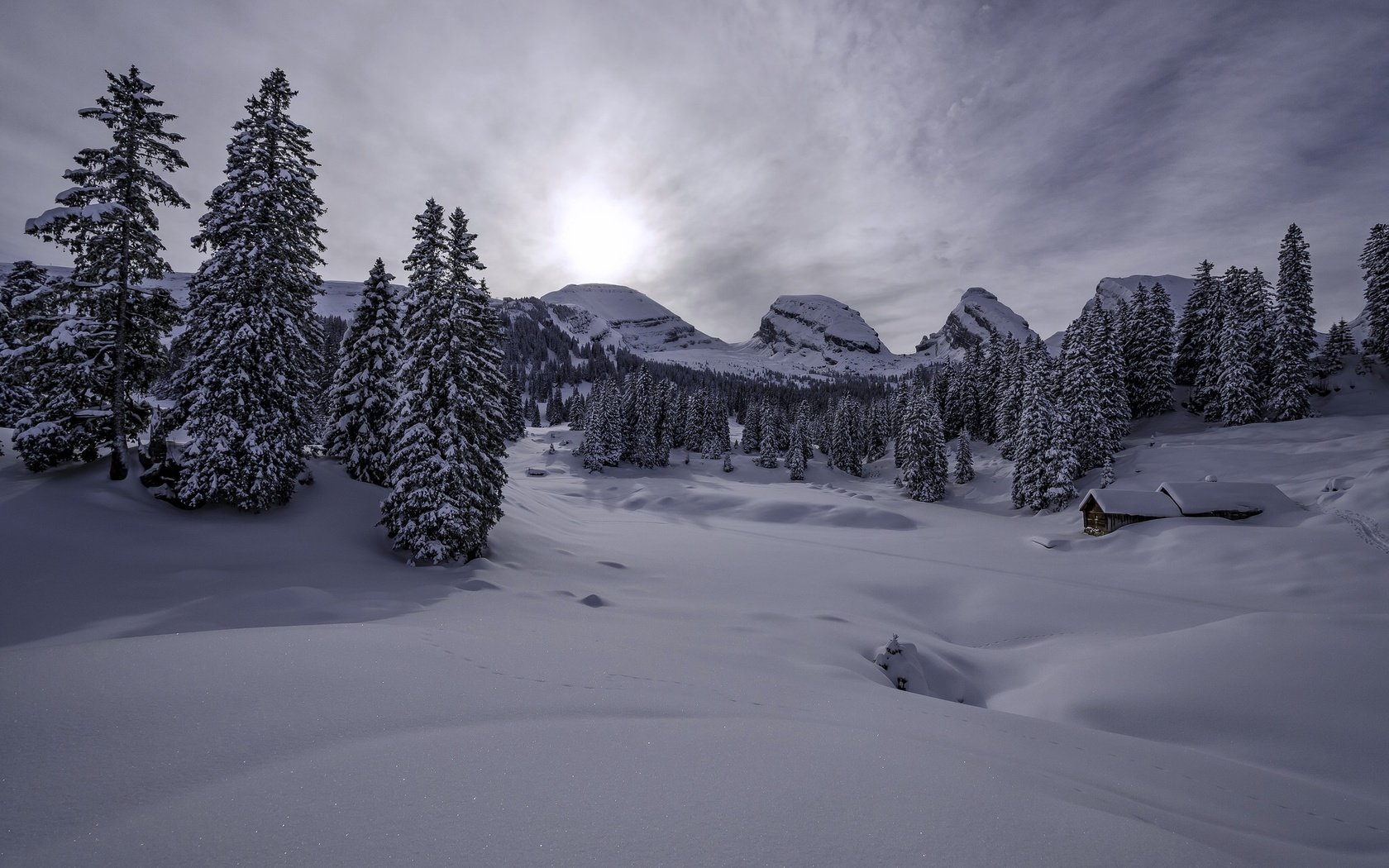 Обои горы, снег, зима, швейцария, домик, ели, сугробы, альпы, mountains, snow, winter, switzerland, house, ate, the snow, alps разрешение 2048x1356 Загрузить