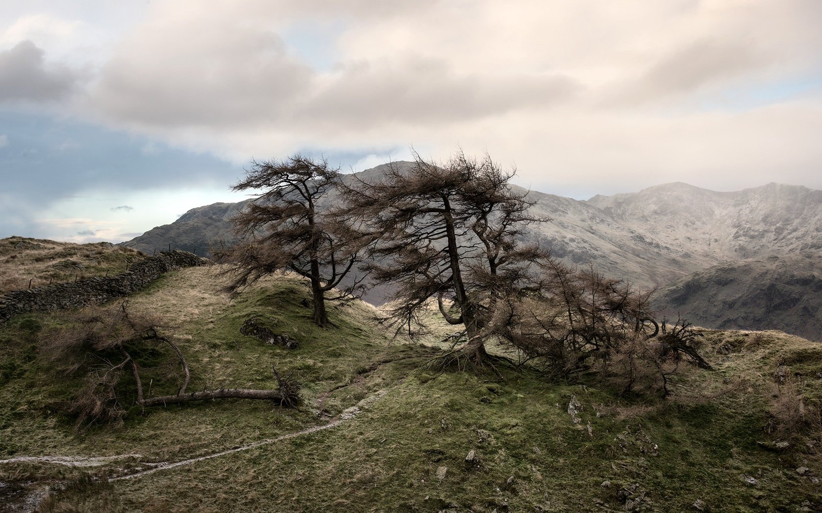 Обои небо, деревья, горы, природа, забор, the sky, trees, mountains, nature, the fence разрешение 2448x1206 Загрузить